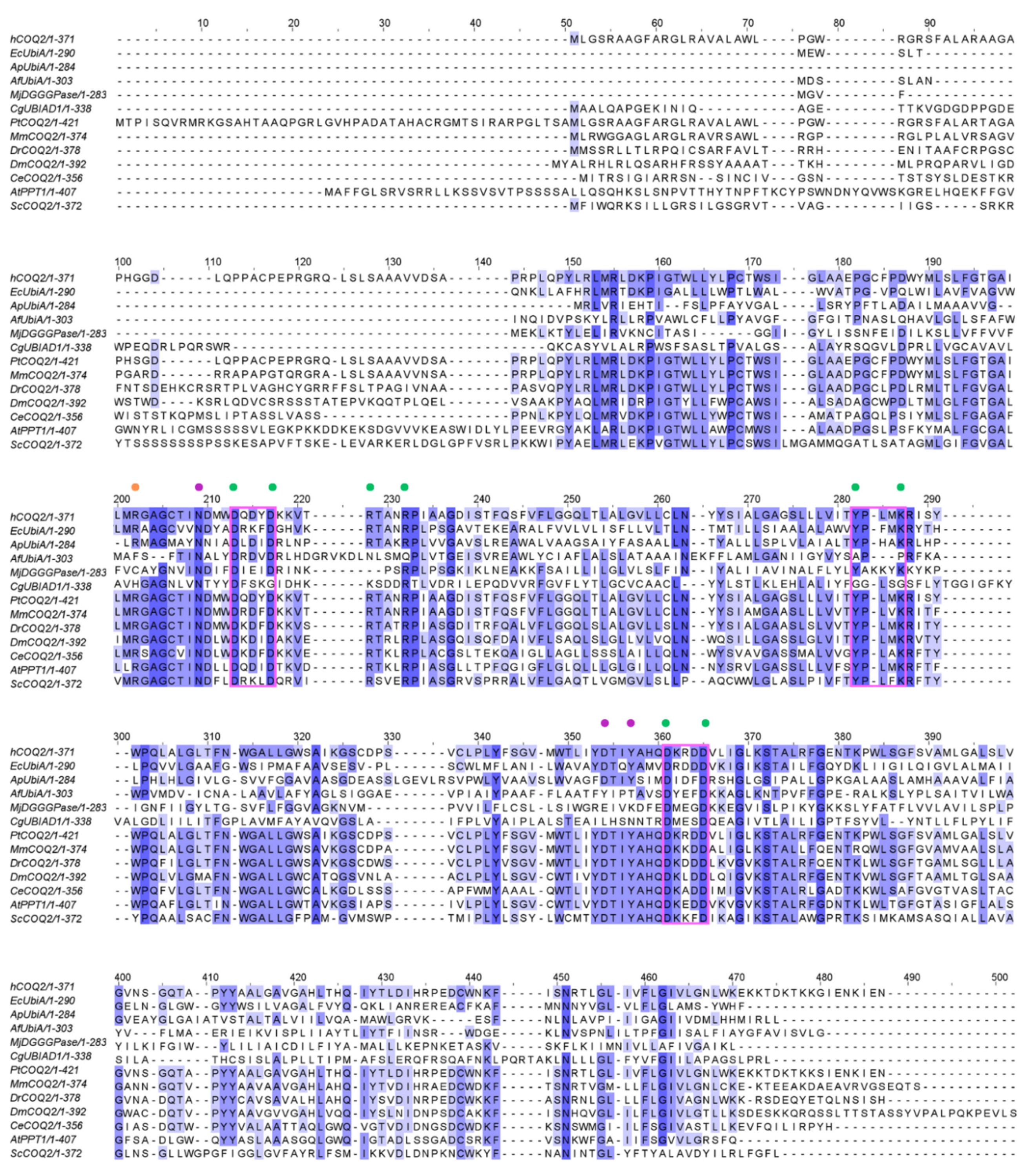 Preprints 101319 g002