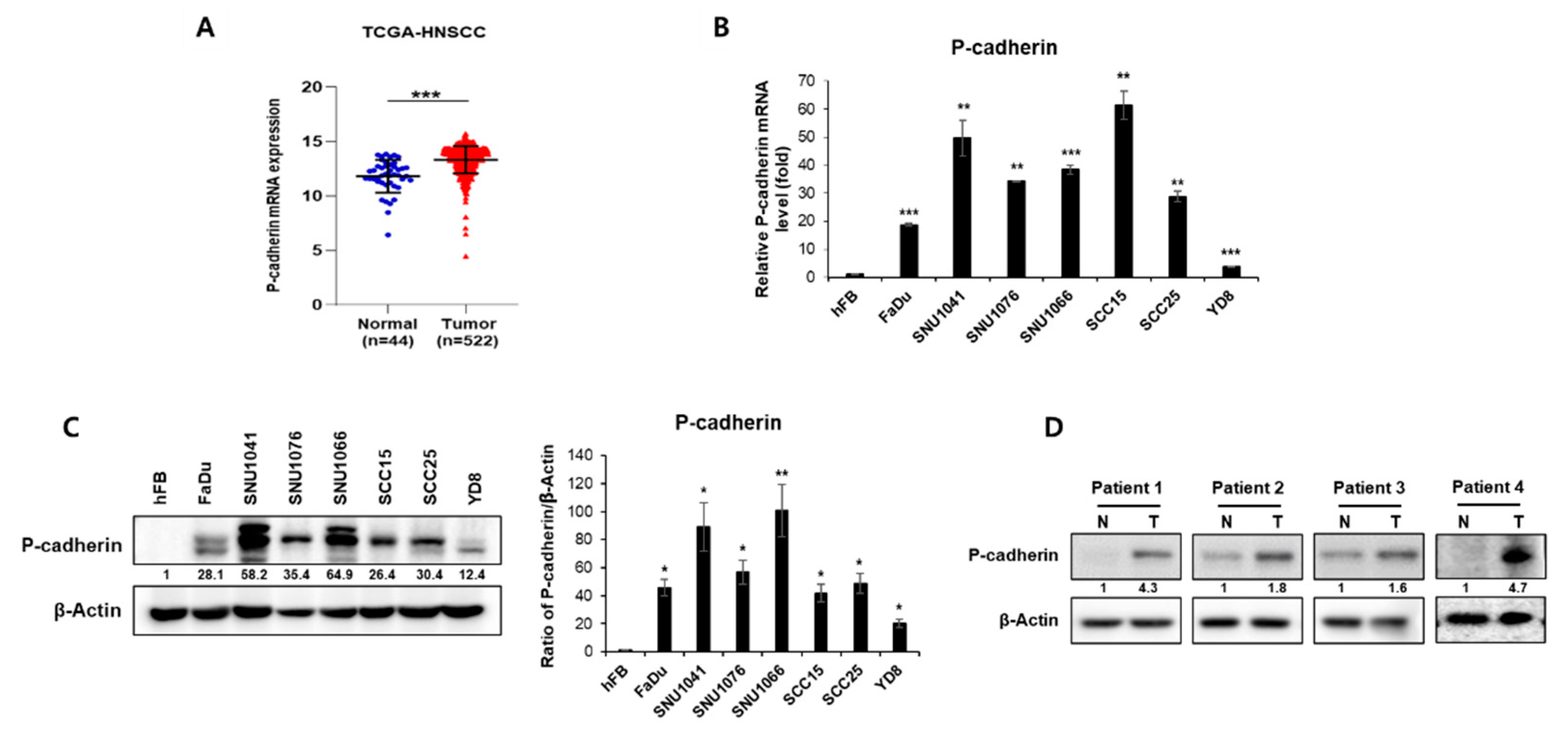 Preprints 88962 g001