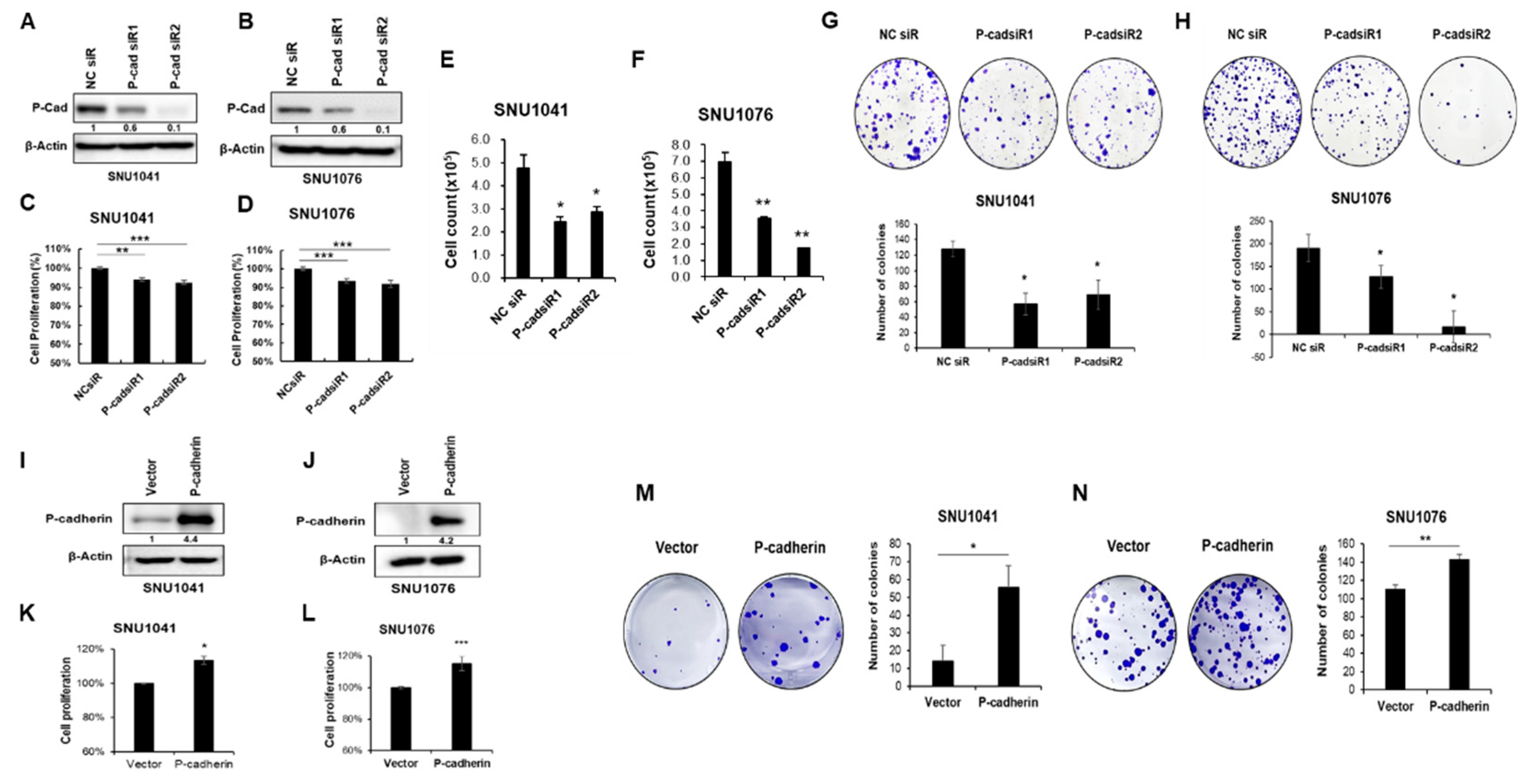 Preprints 88962 g002