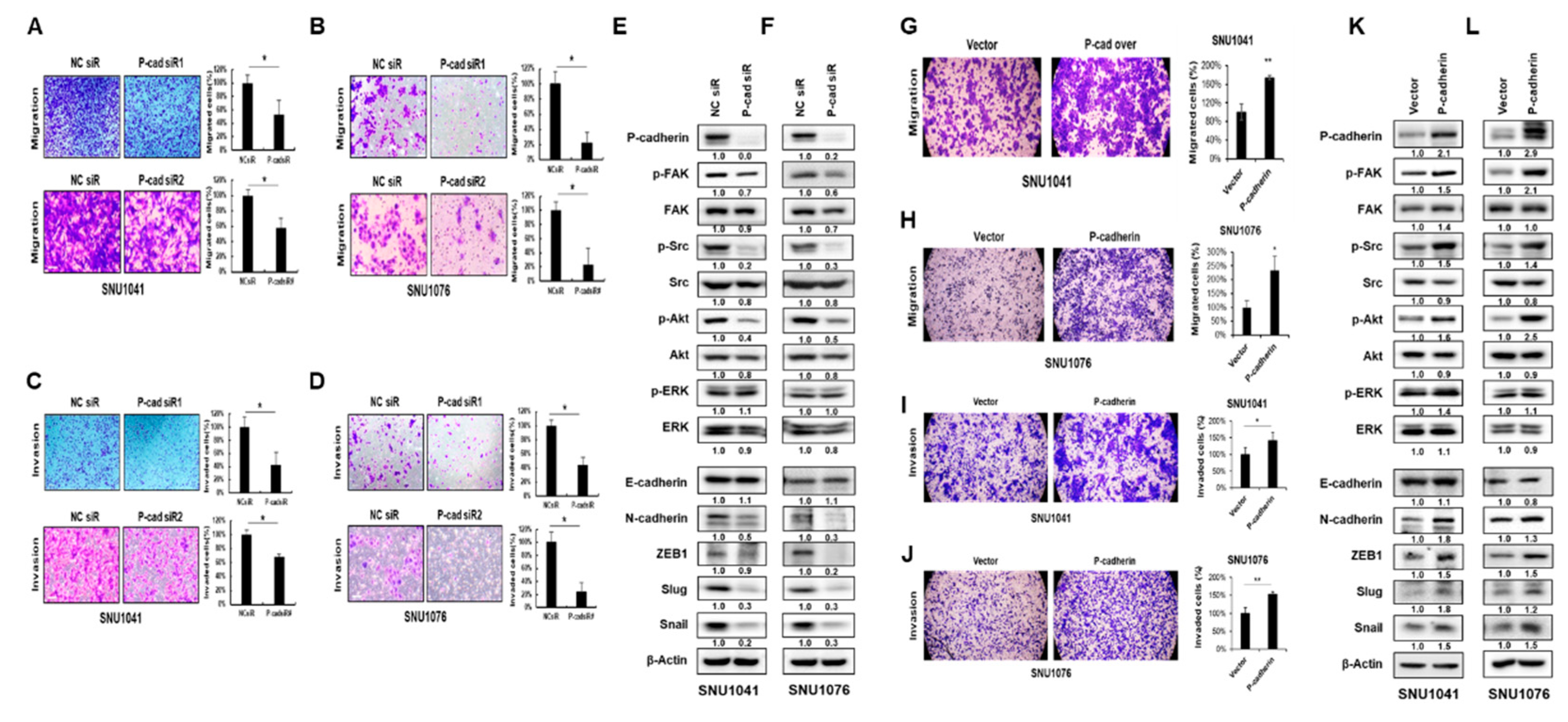 Preprints 88962 g003