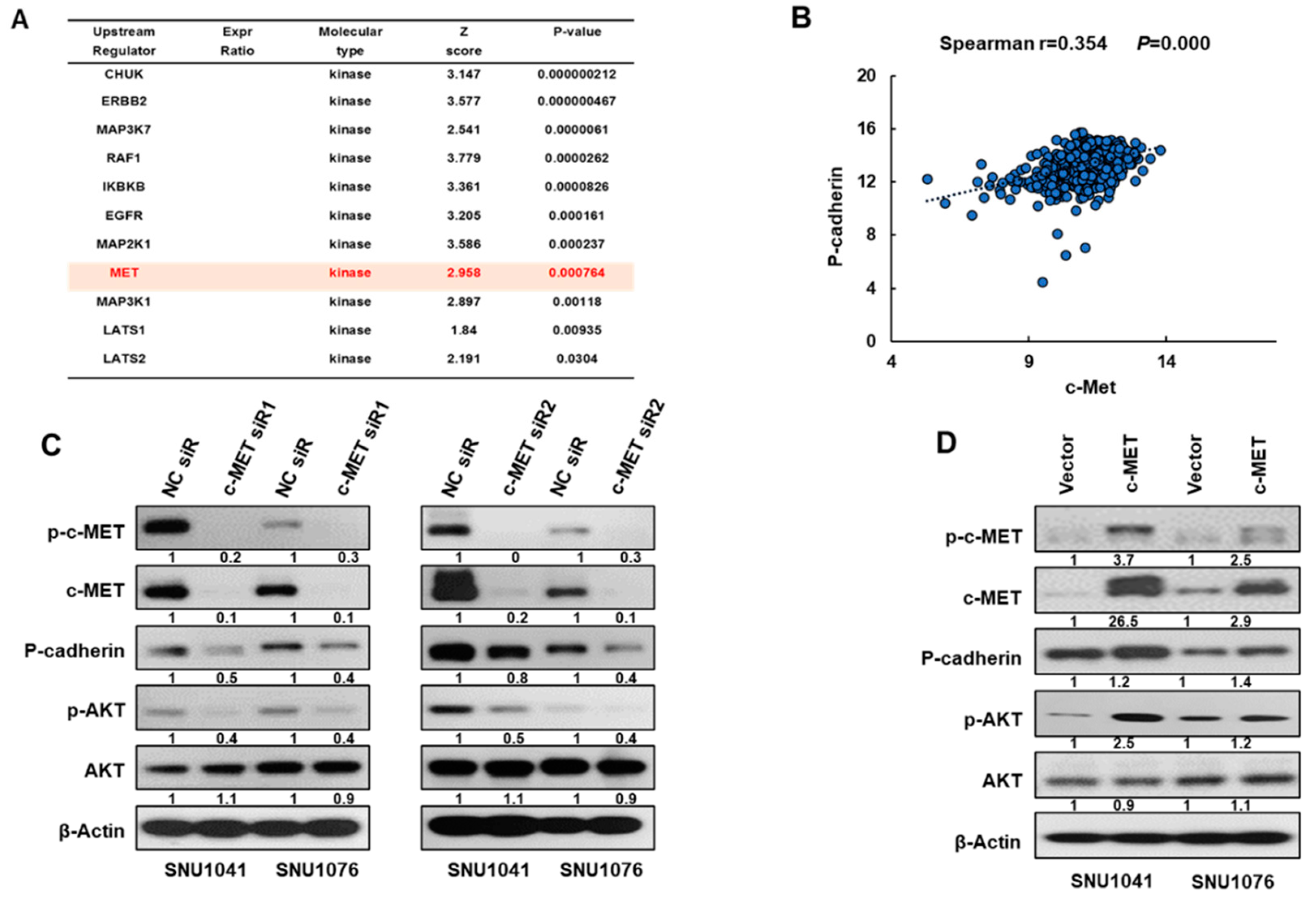 Preprints 88962 g004