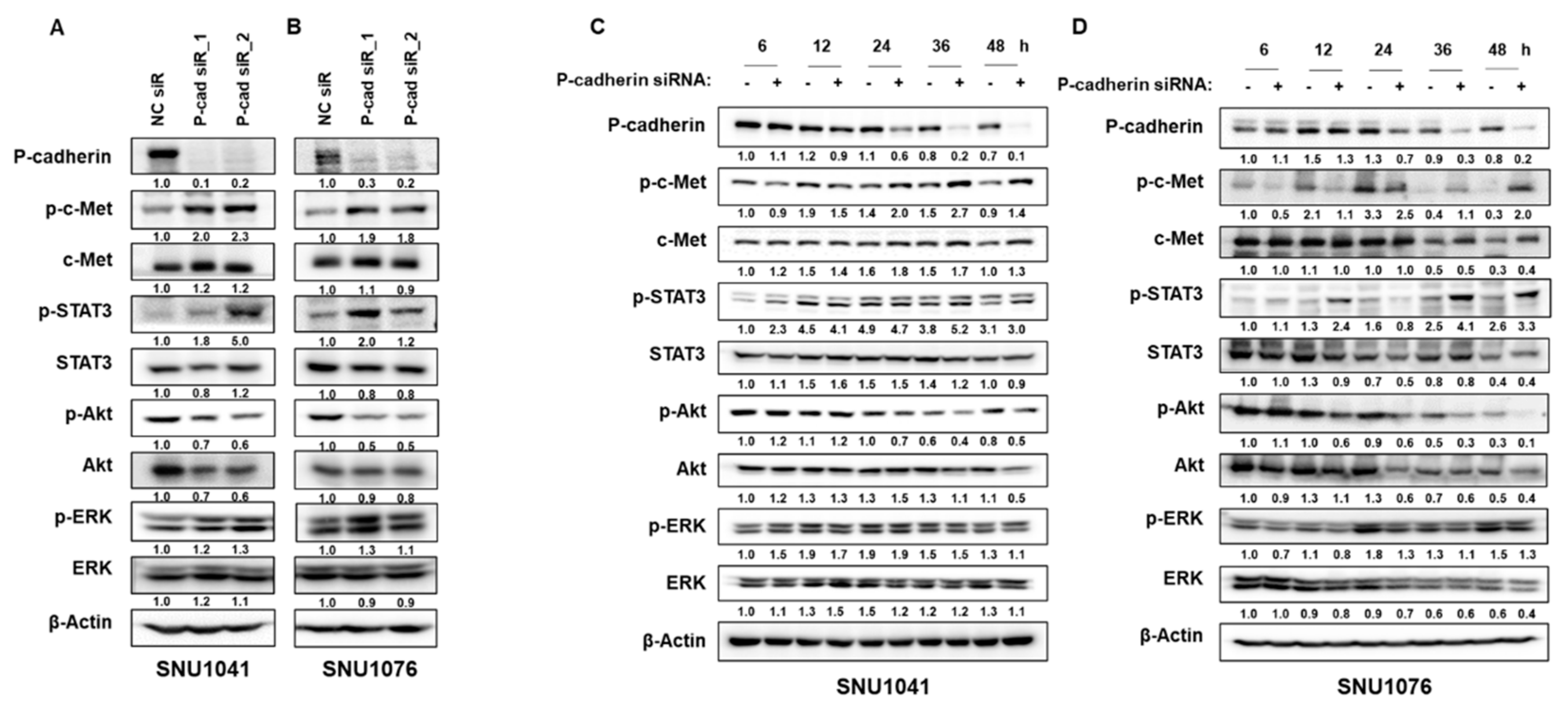 Preprints 88962 g005