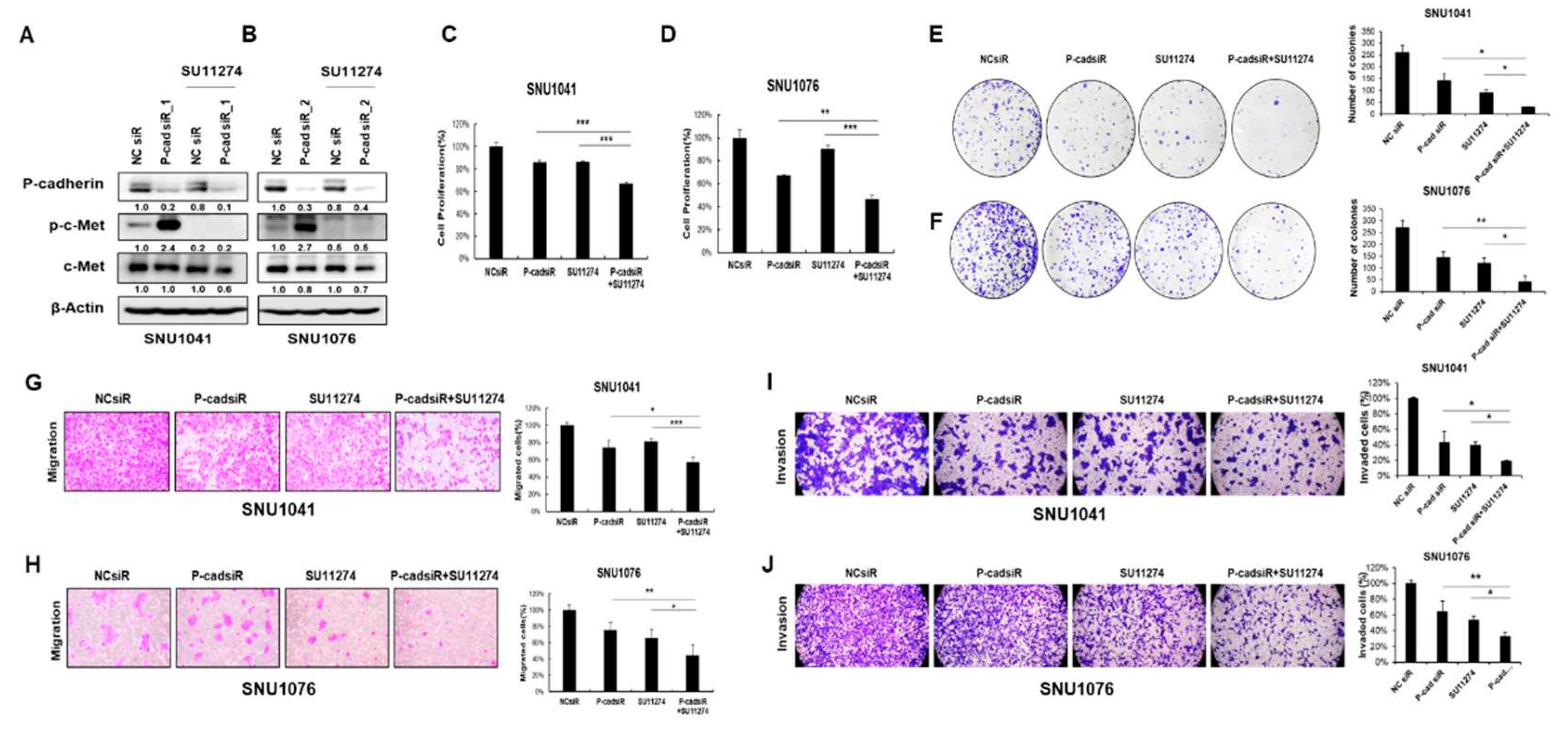 Preprints 88962 g006