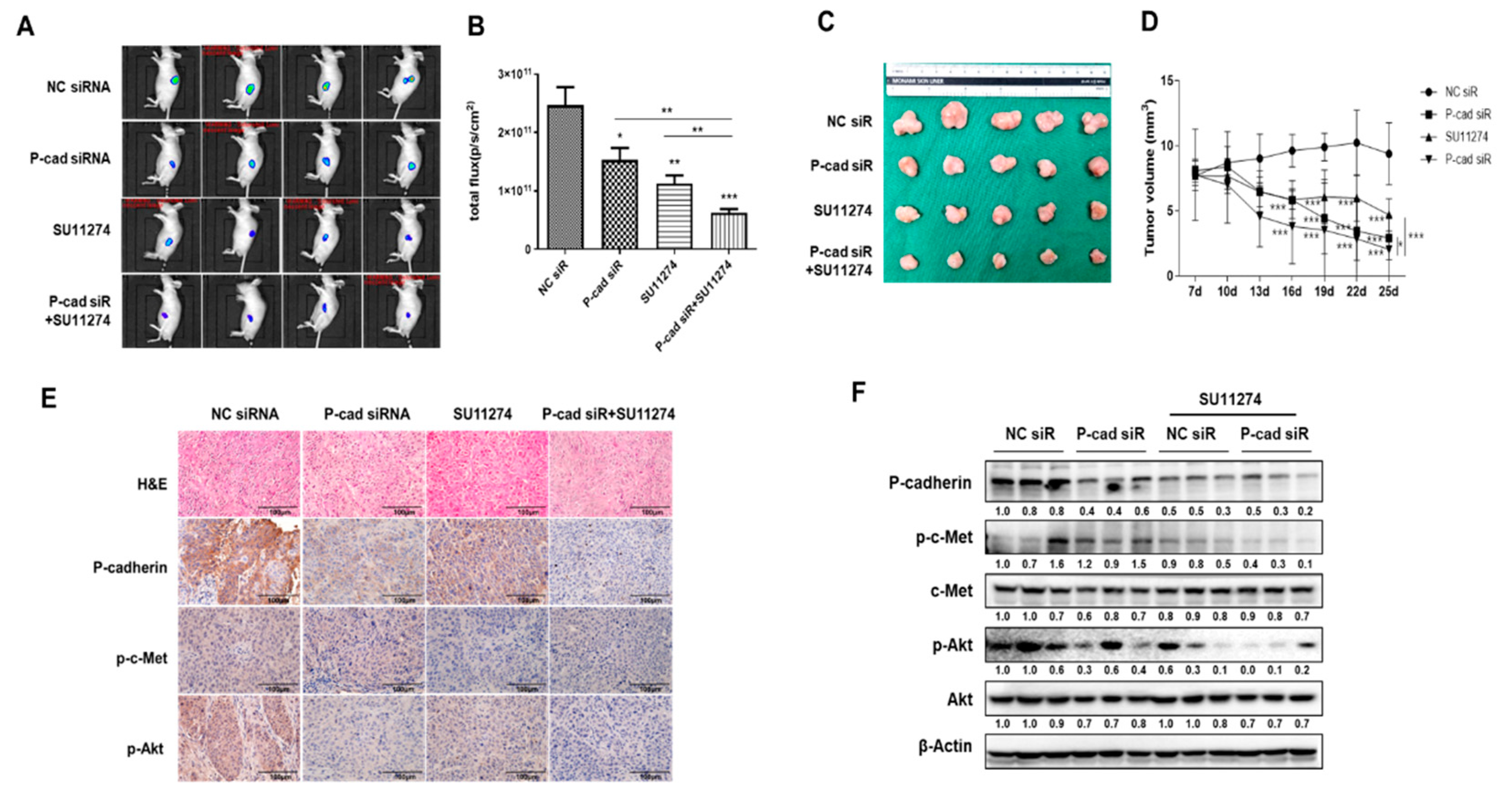 Preprints 88962 g007