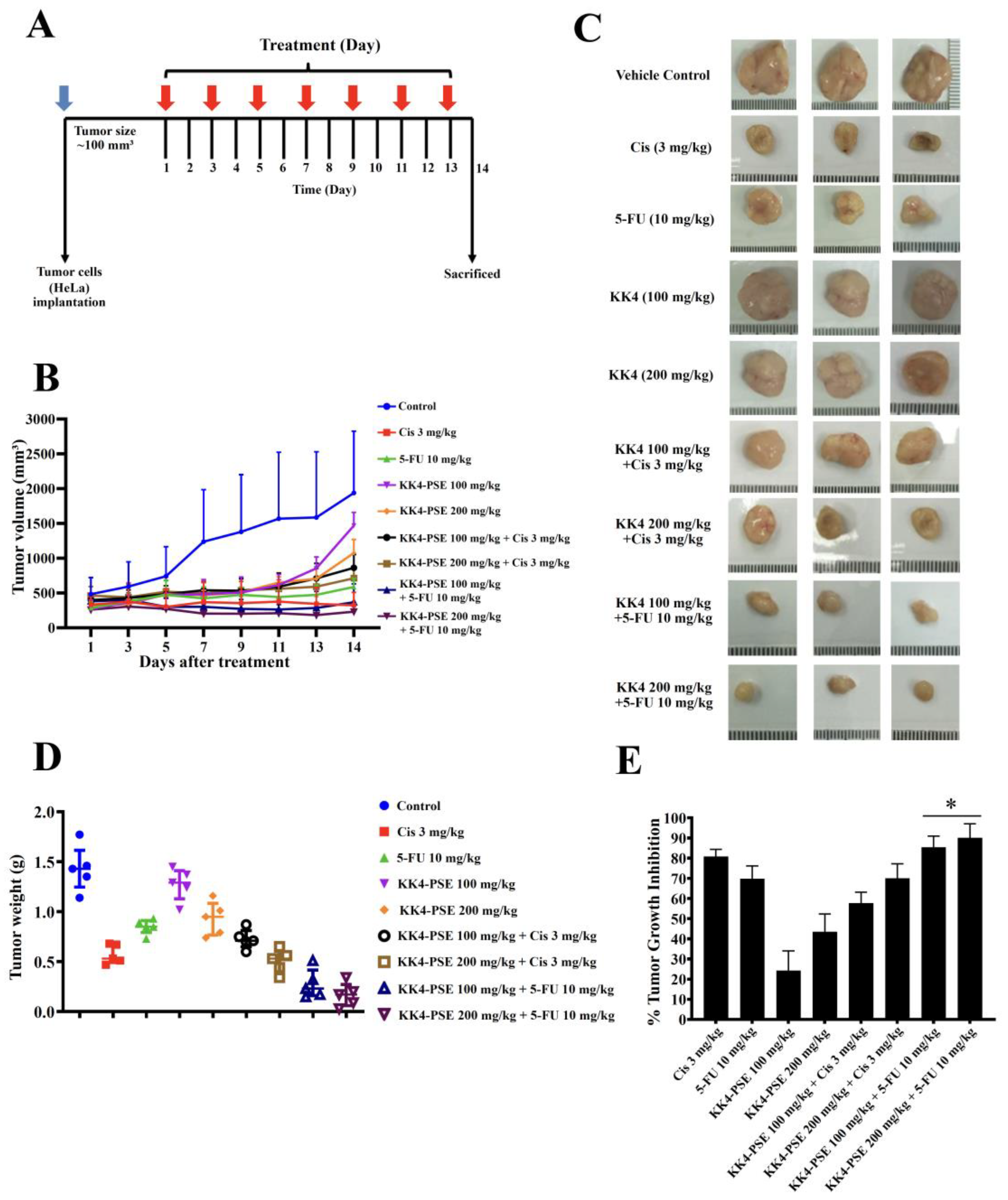 Preprints 108867 g004