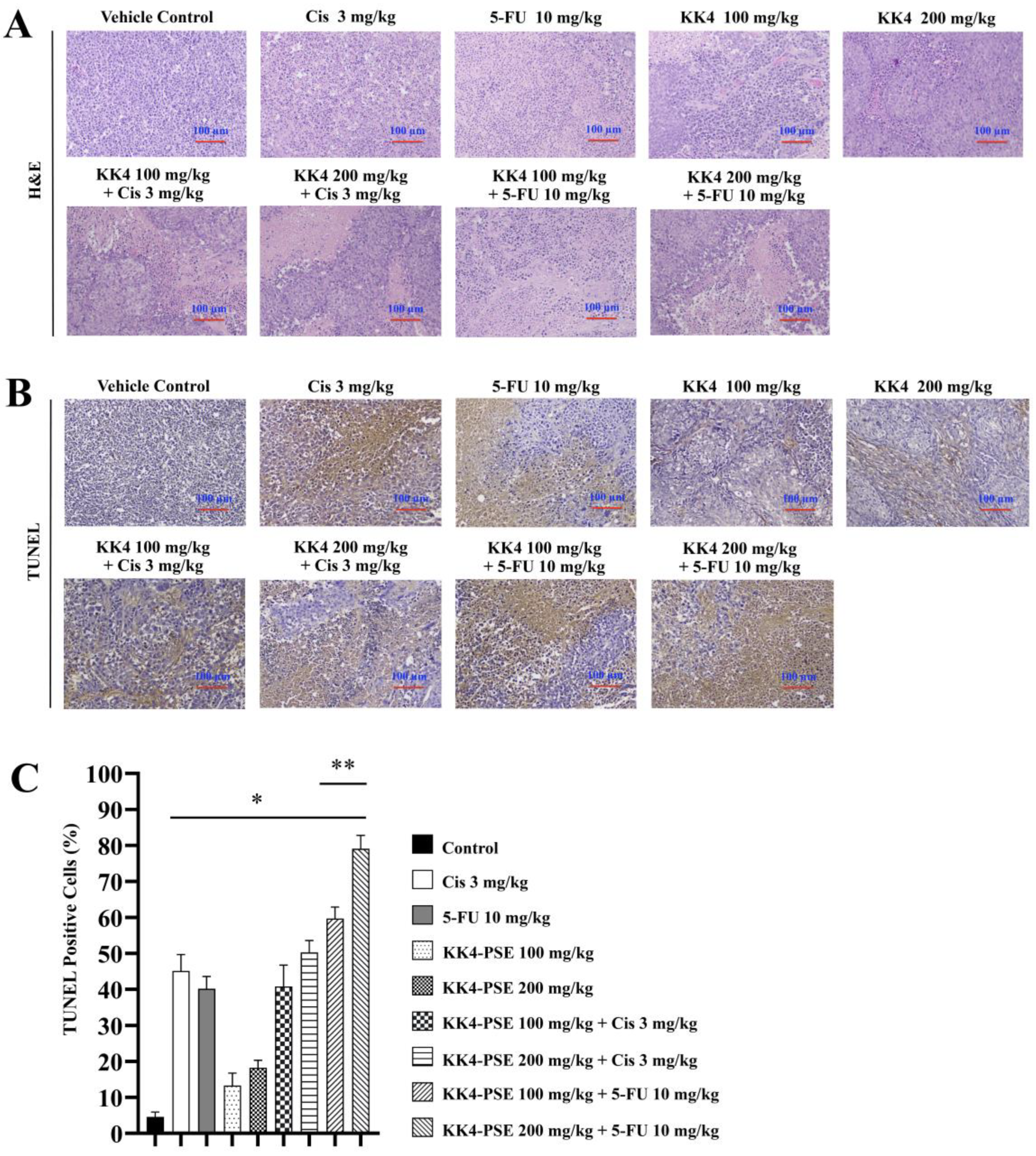 Preprints 108867 g005