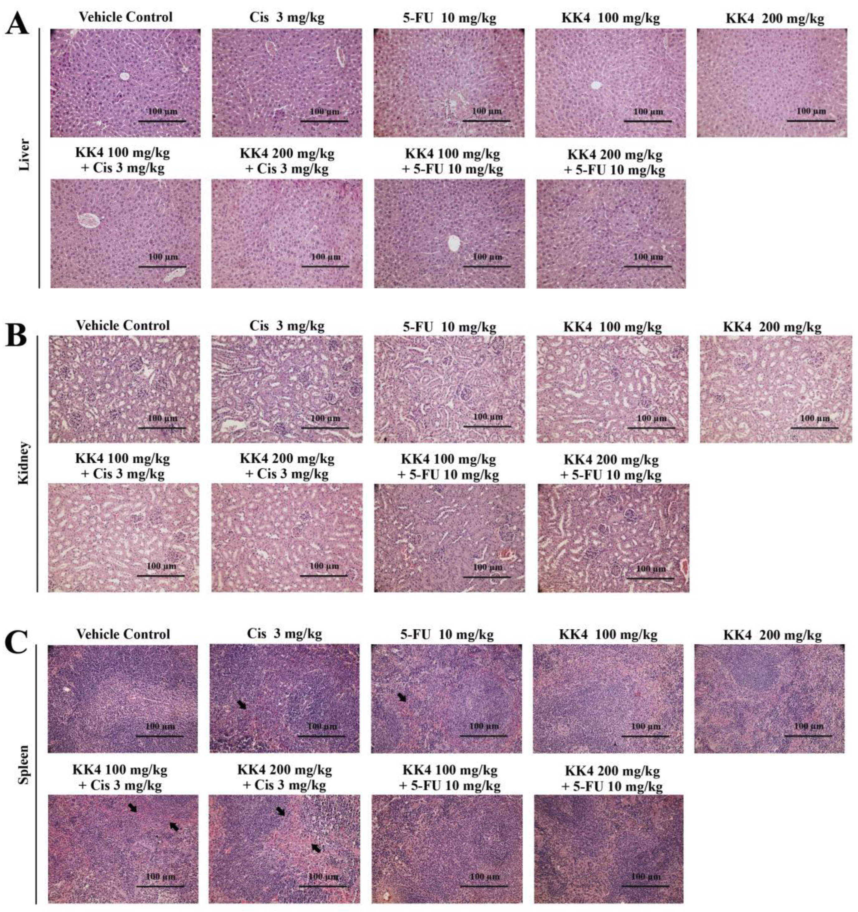 Preprints 108867 g006