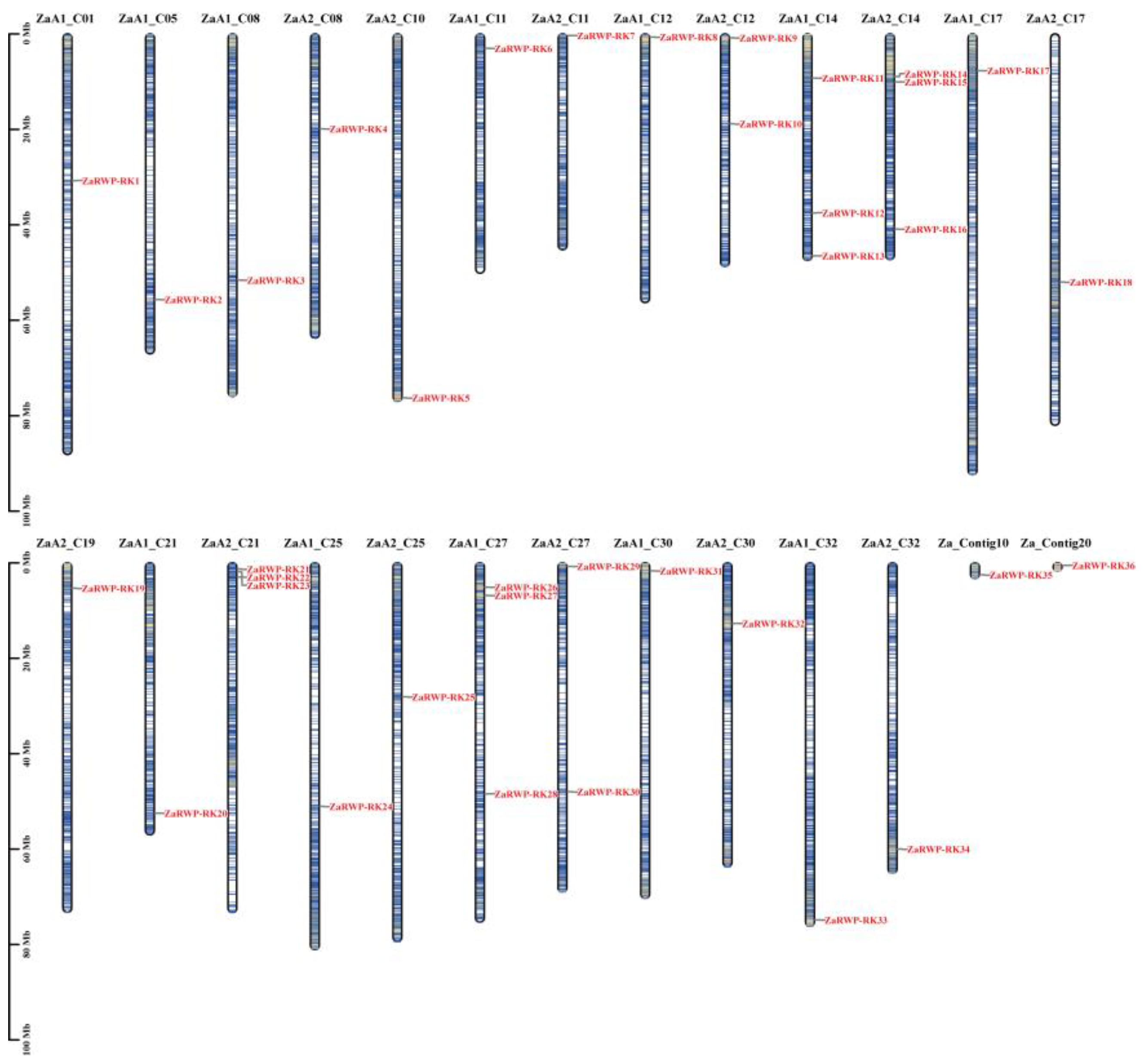 Preprints 103687 g001