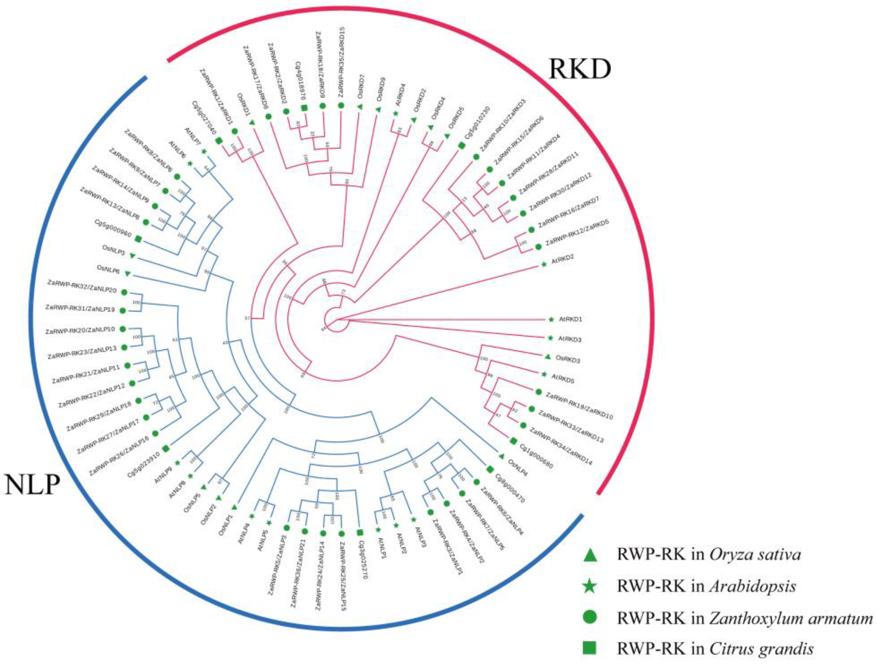 Preprints 103687 g004