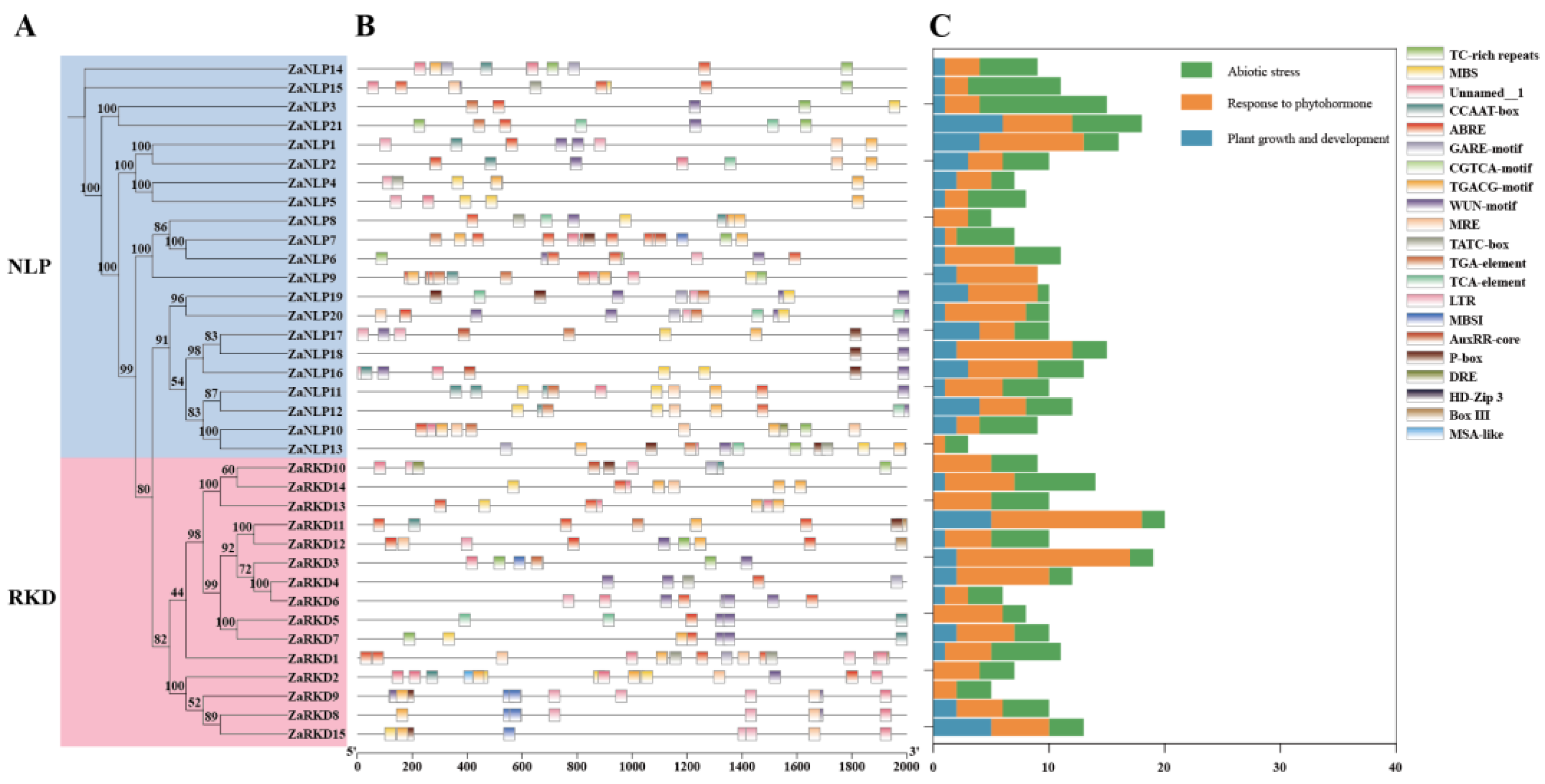 Preprints 103687 g006