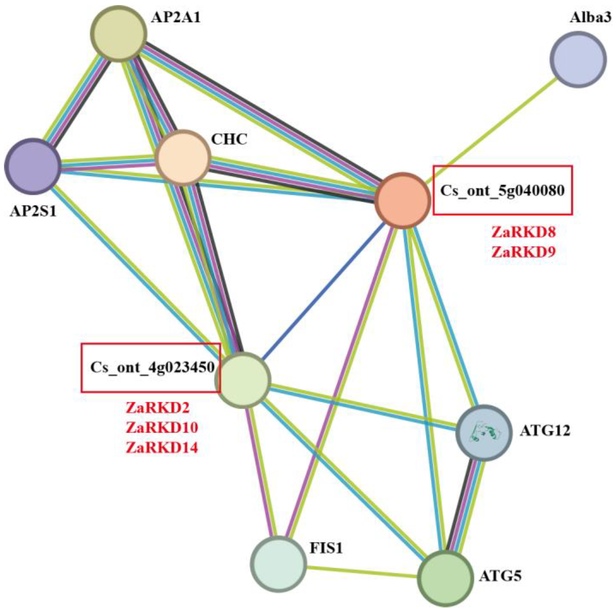 Preprints 103687 g008