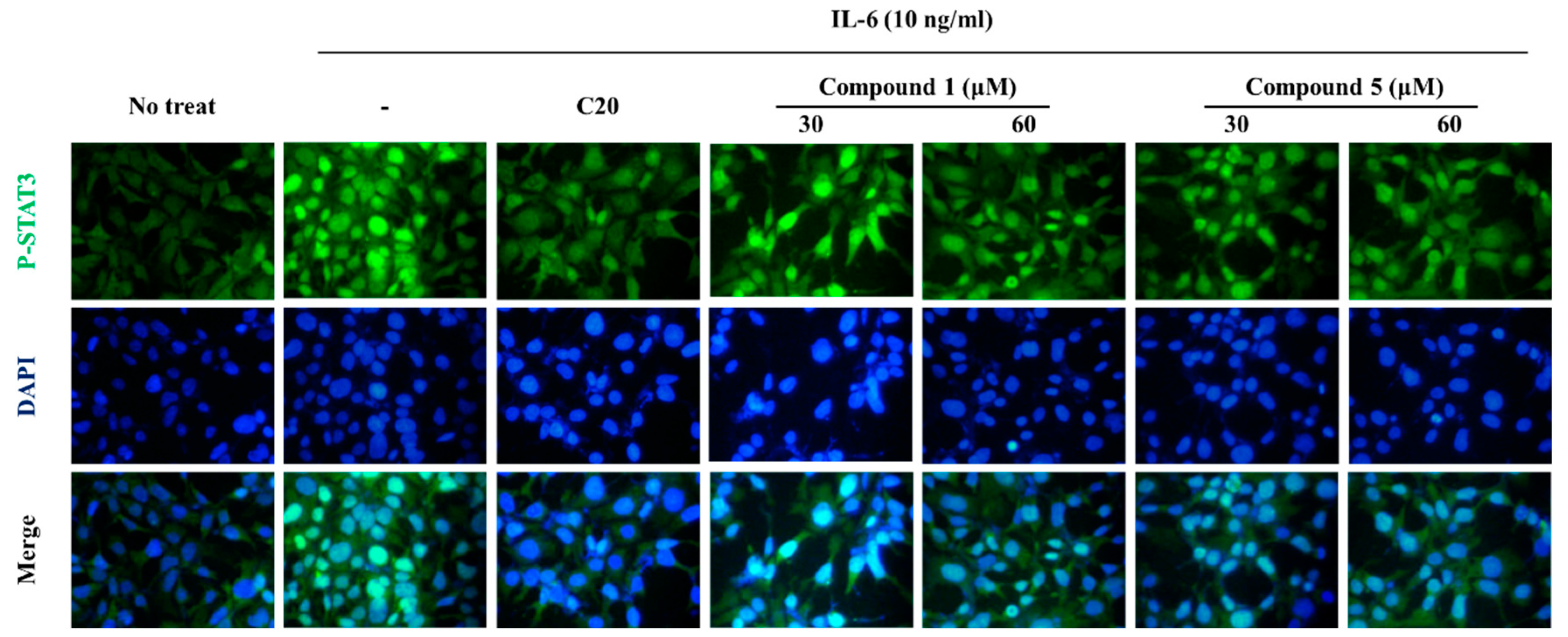 Preprints 88597 g004