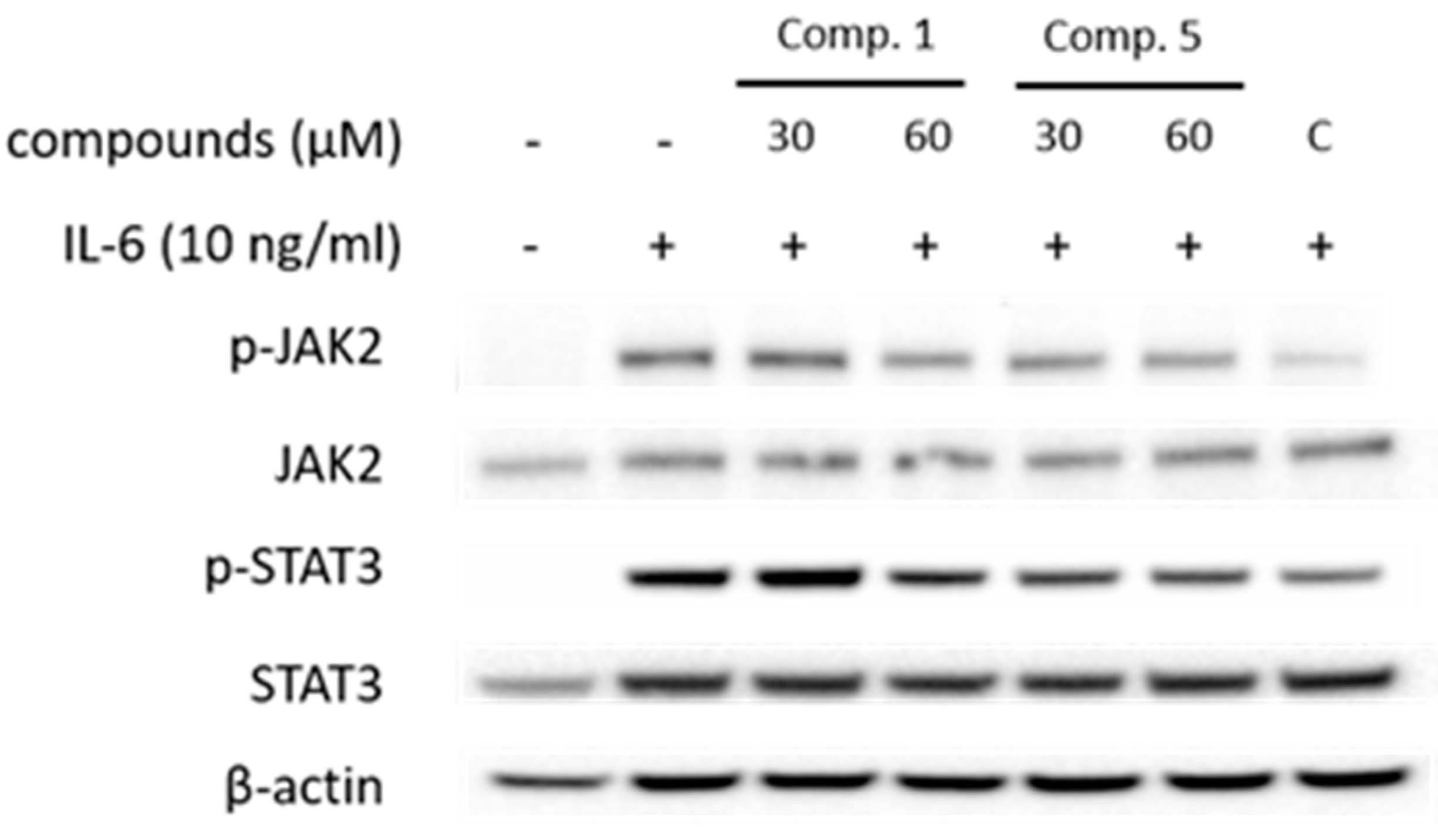 Preprints 88597 g005