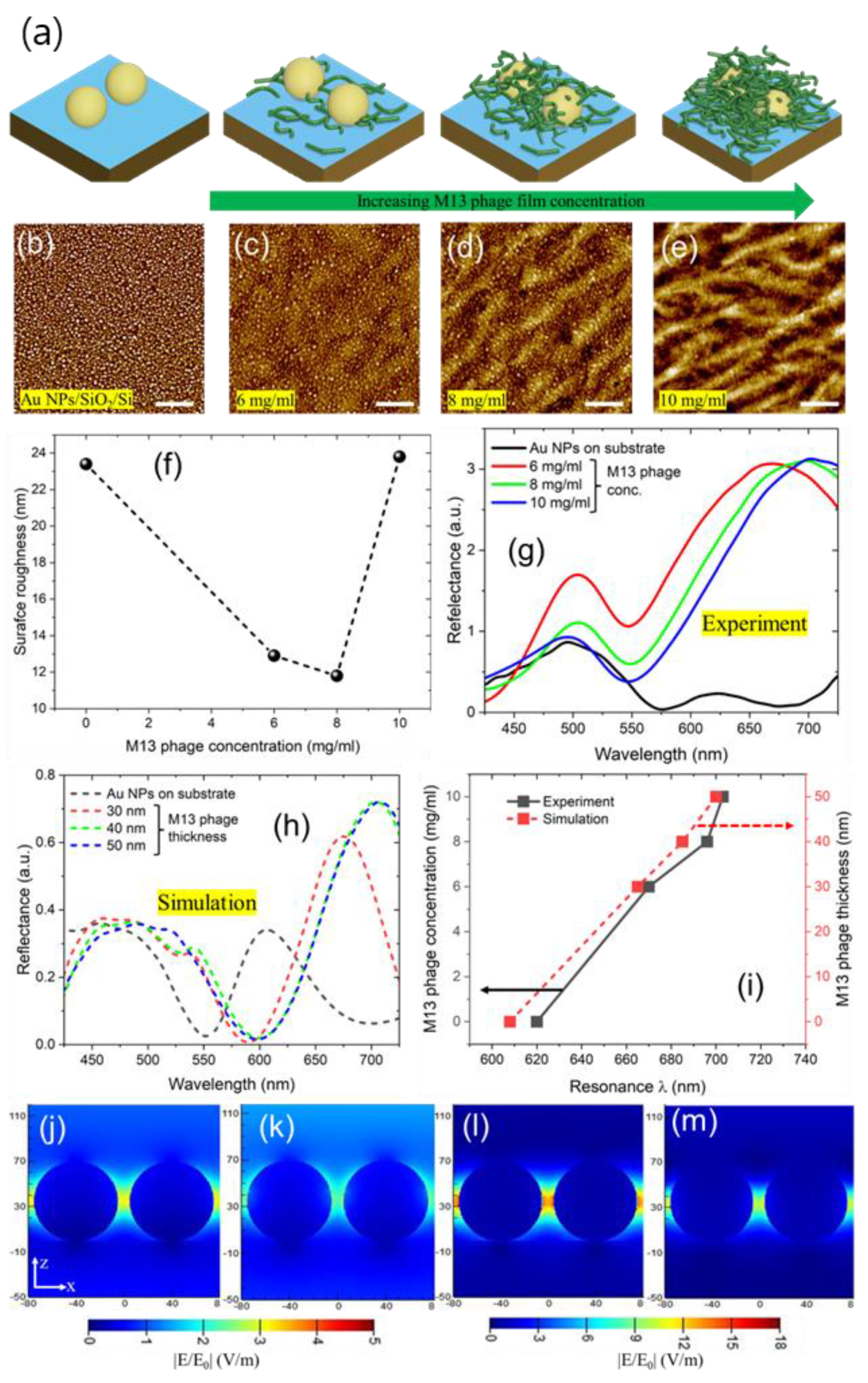 Preprints 70485 g002