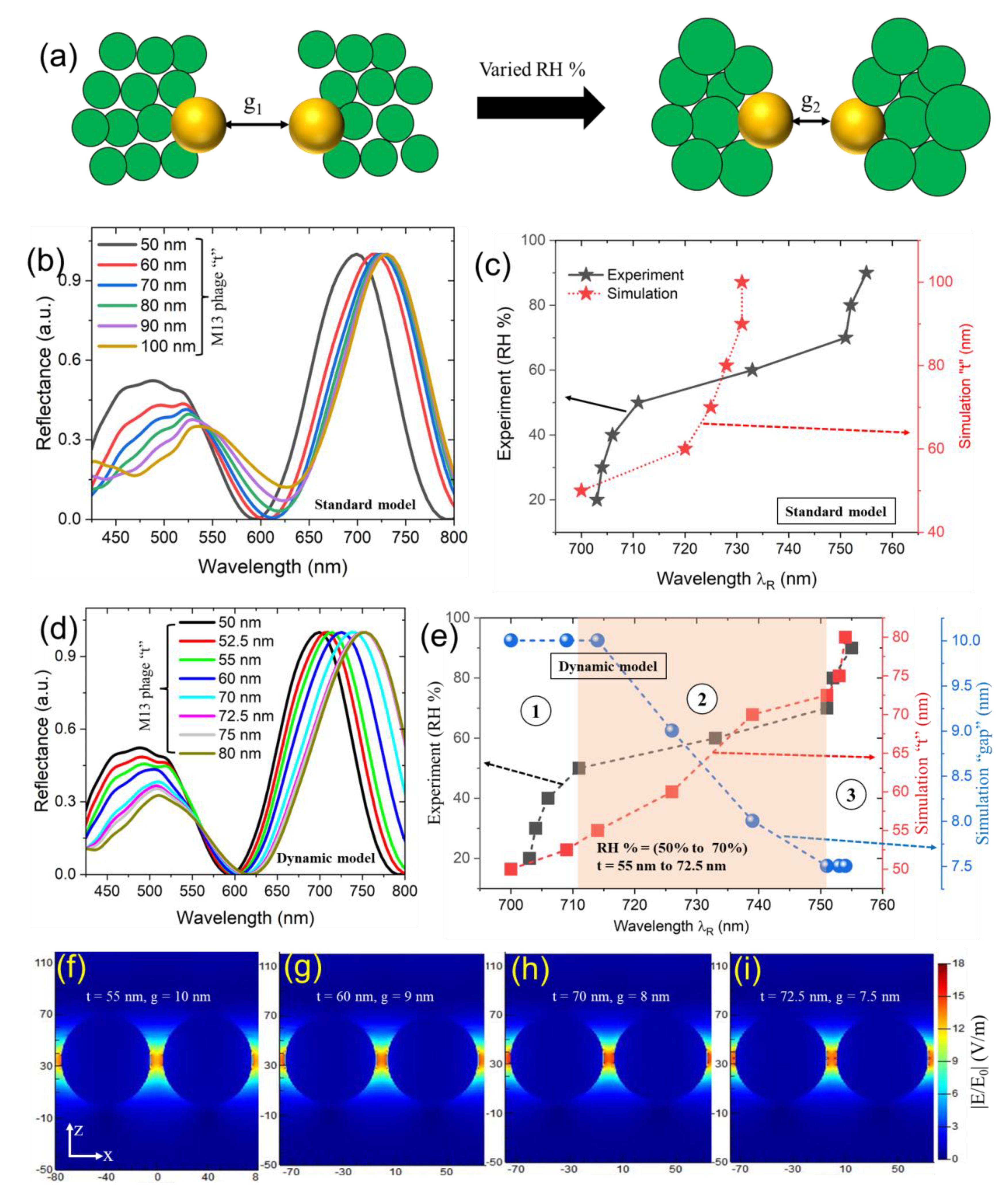 Preprints 70485 g004