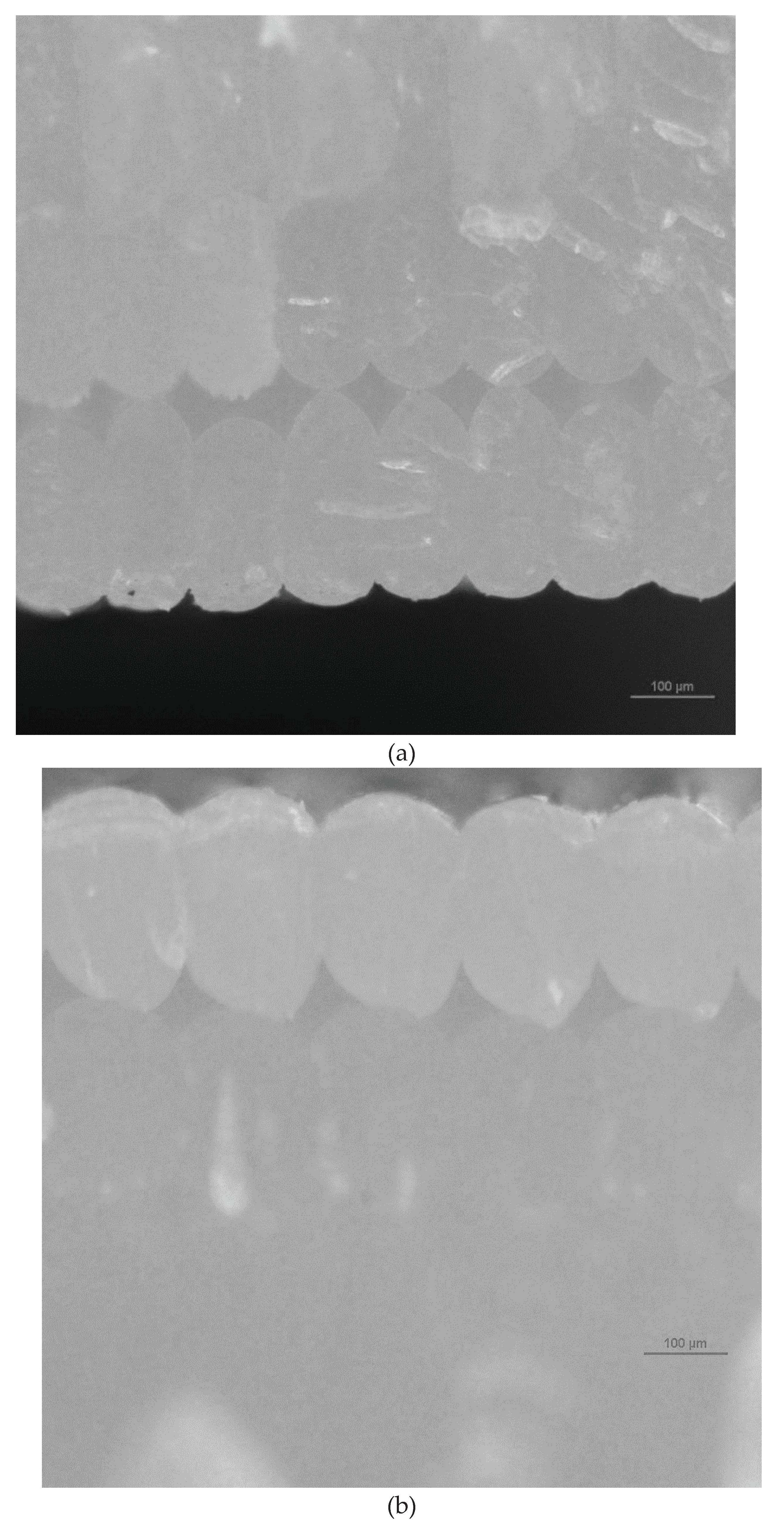 Preprints 94956 g007a