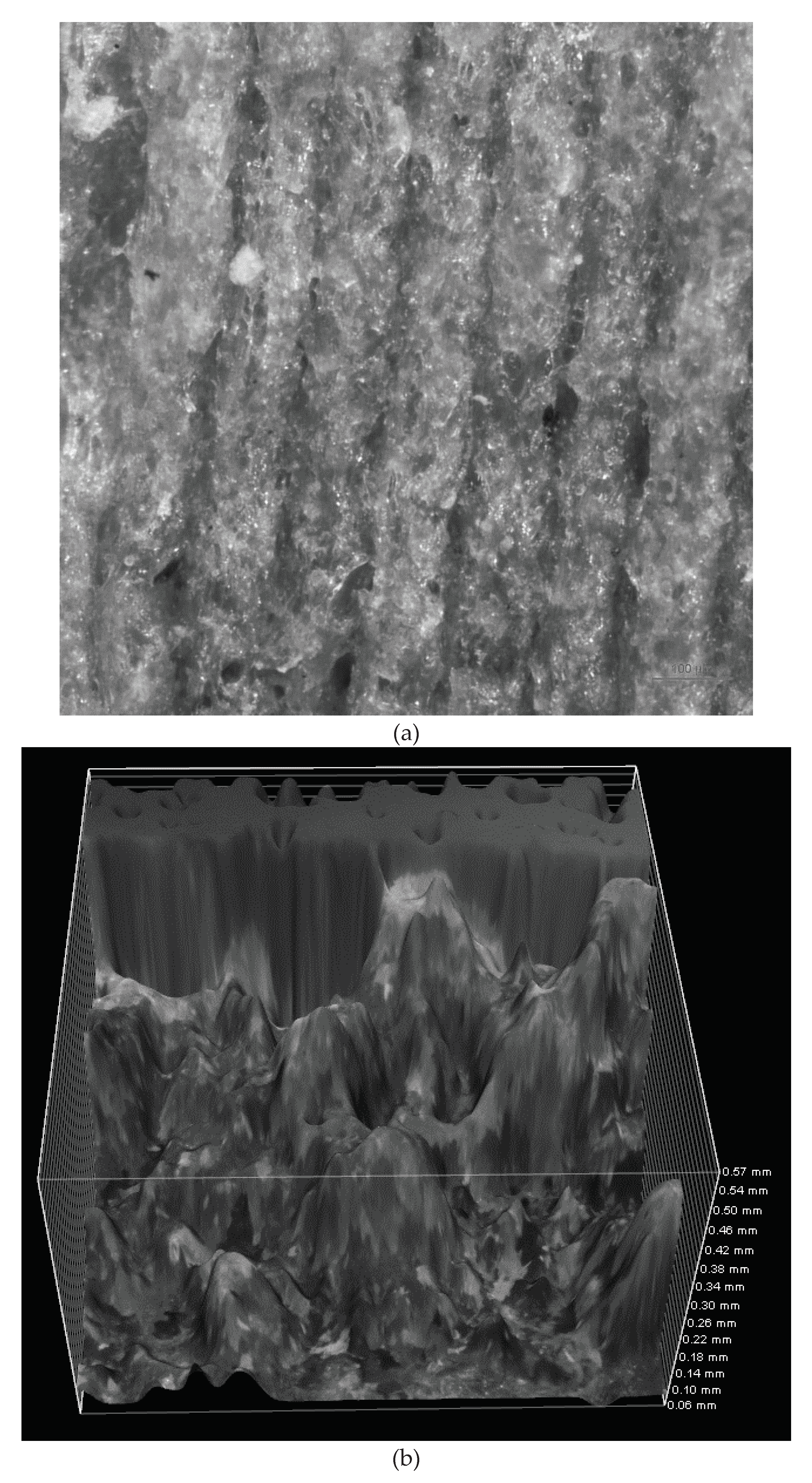 Preprints 94956 g009a