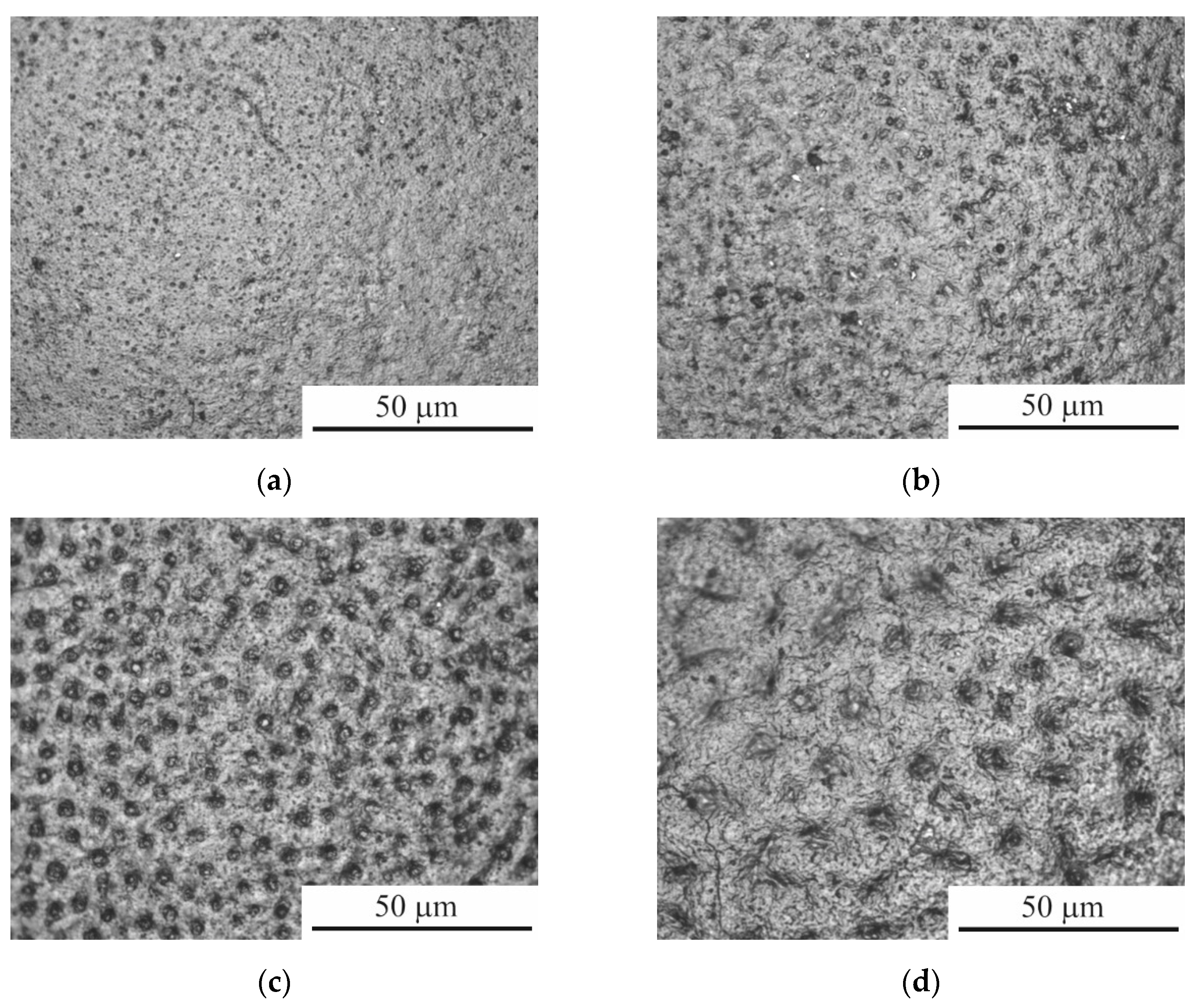 Preprints 115571 g003