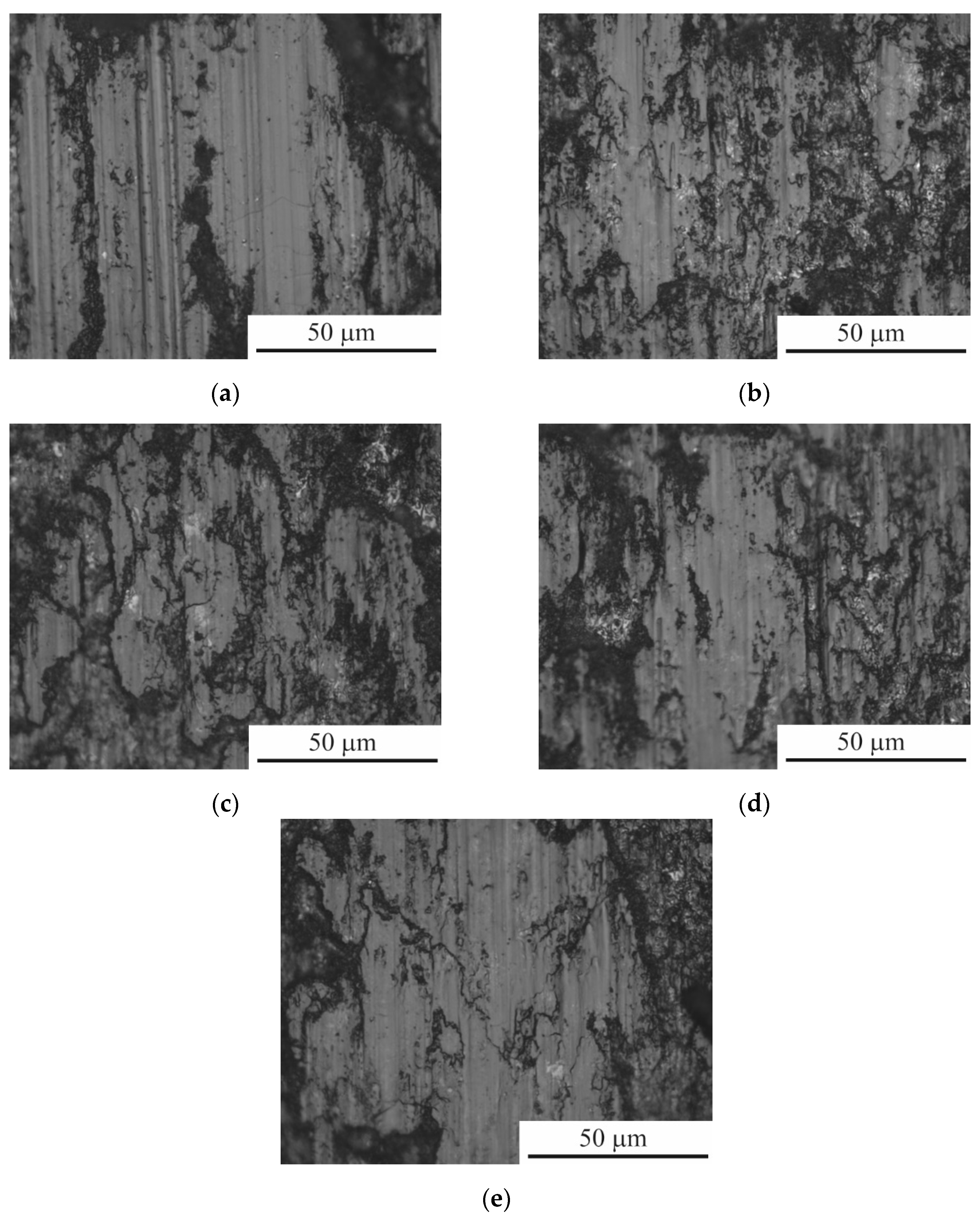 Preprints 115571 g007