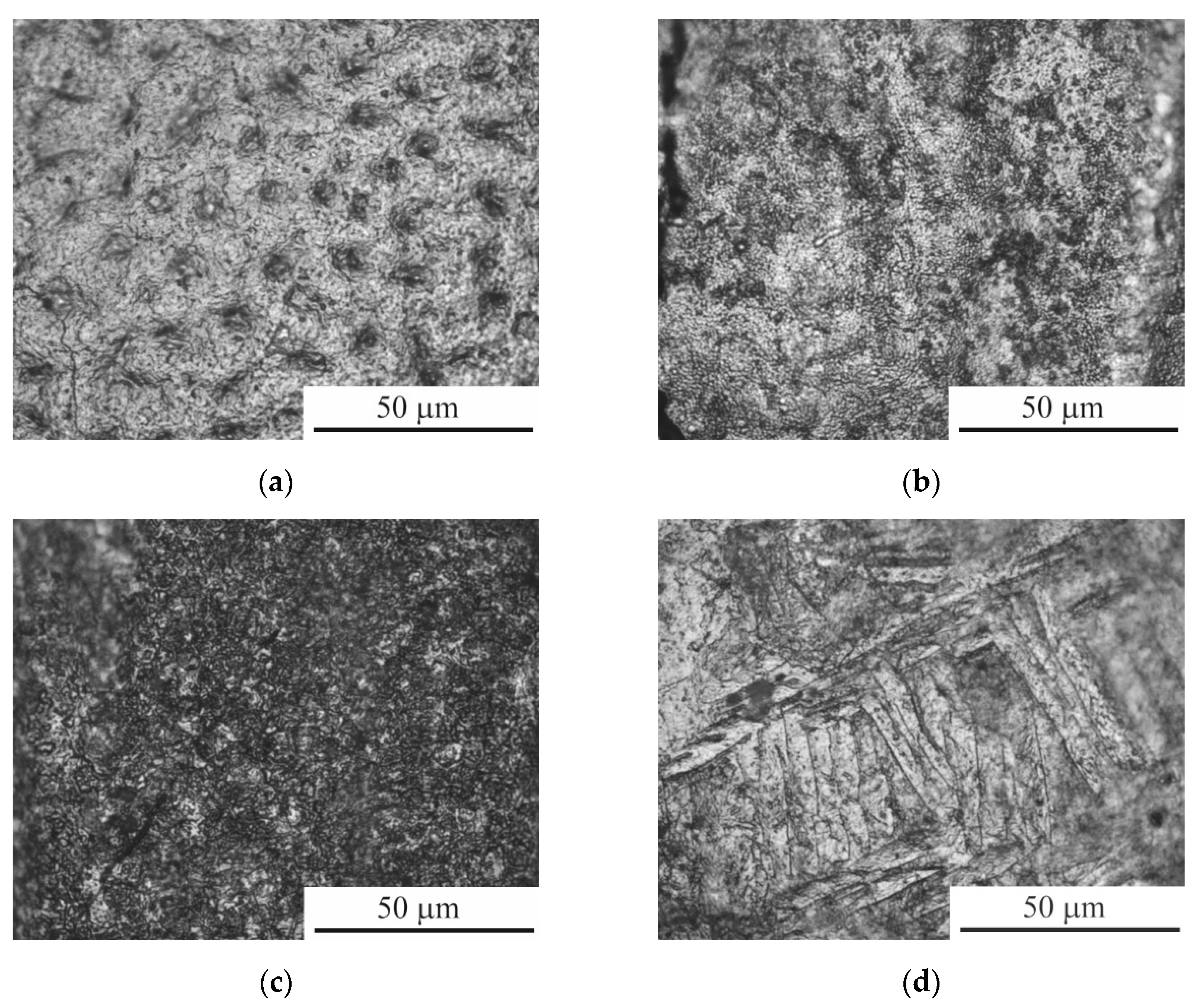 Preprints 115571 g008