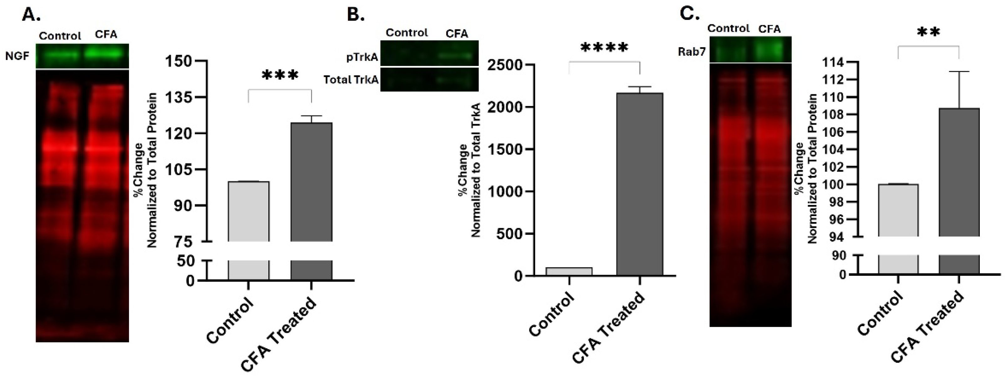 Preprints 105232 g002