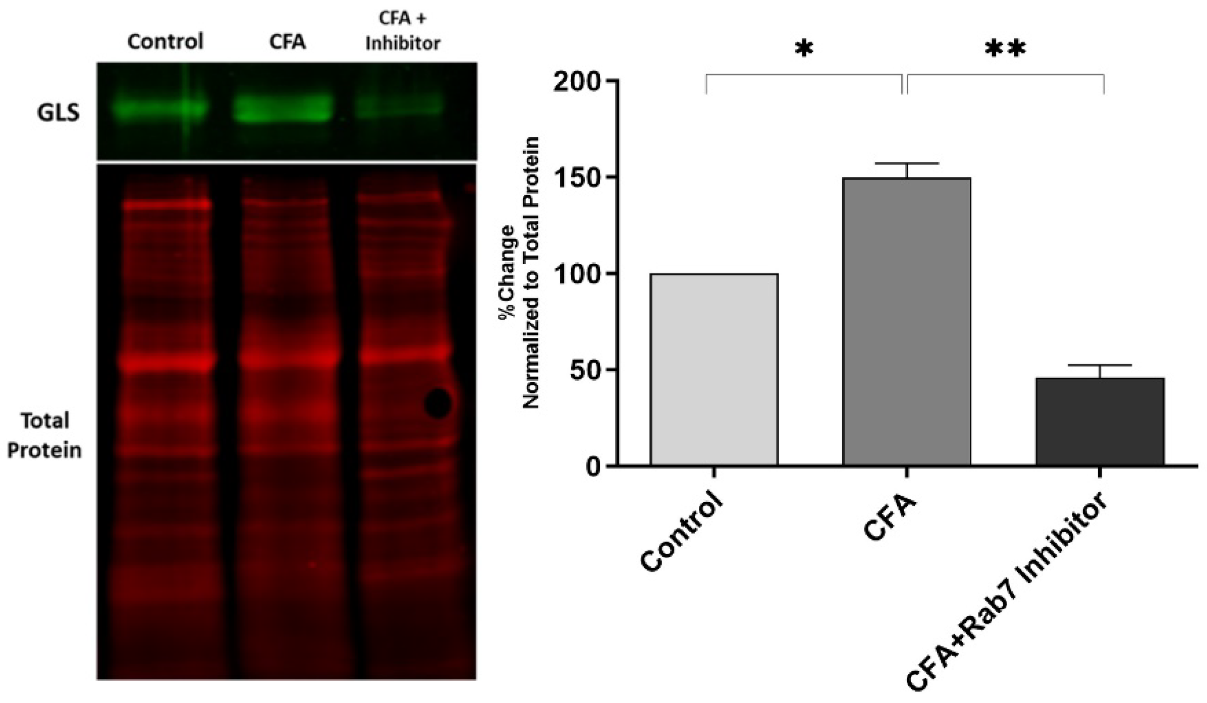 Preprints 105232 g005