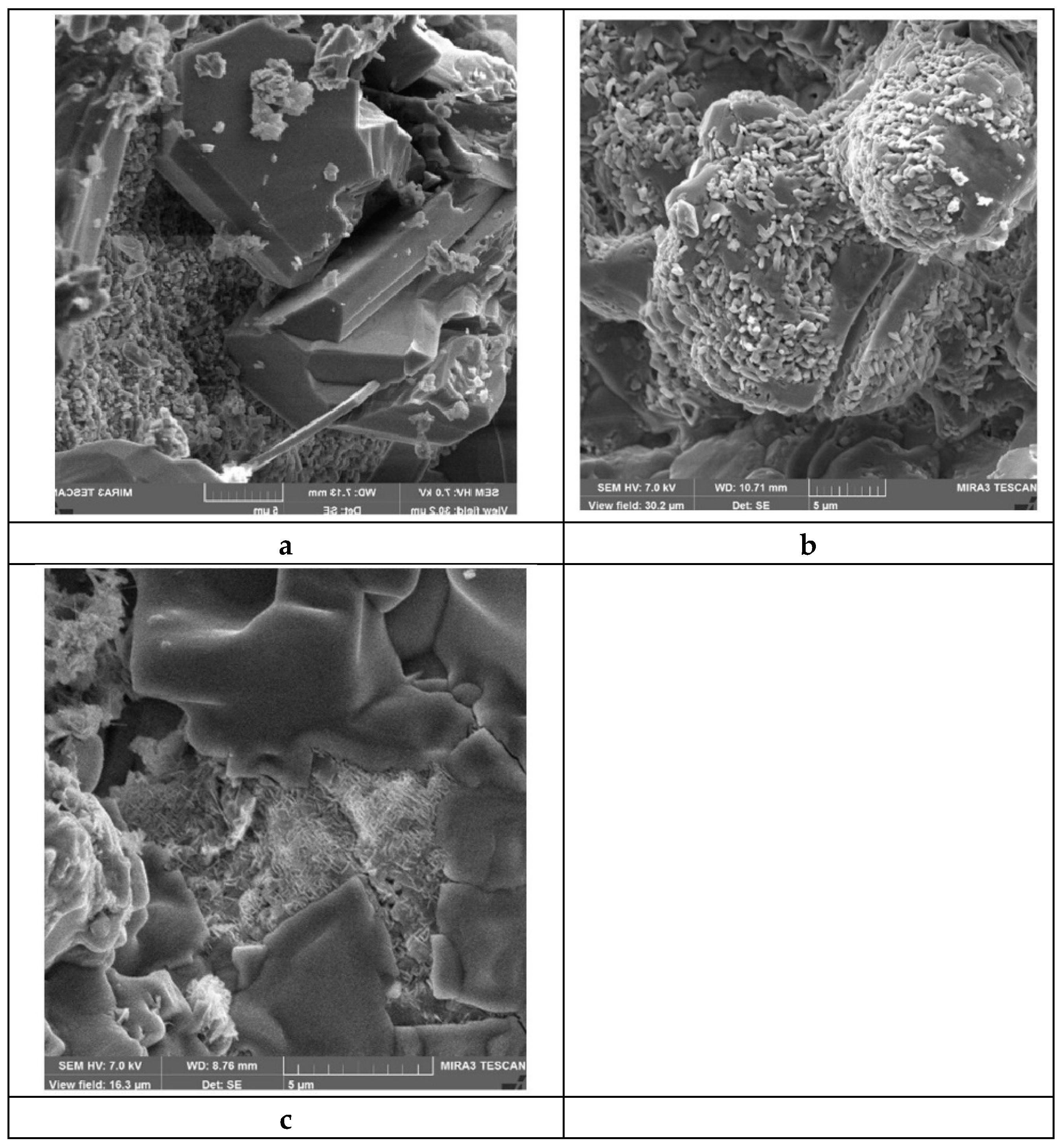 Preprints 114526 g004