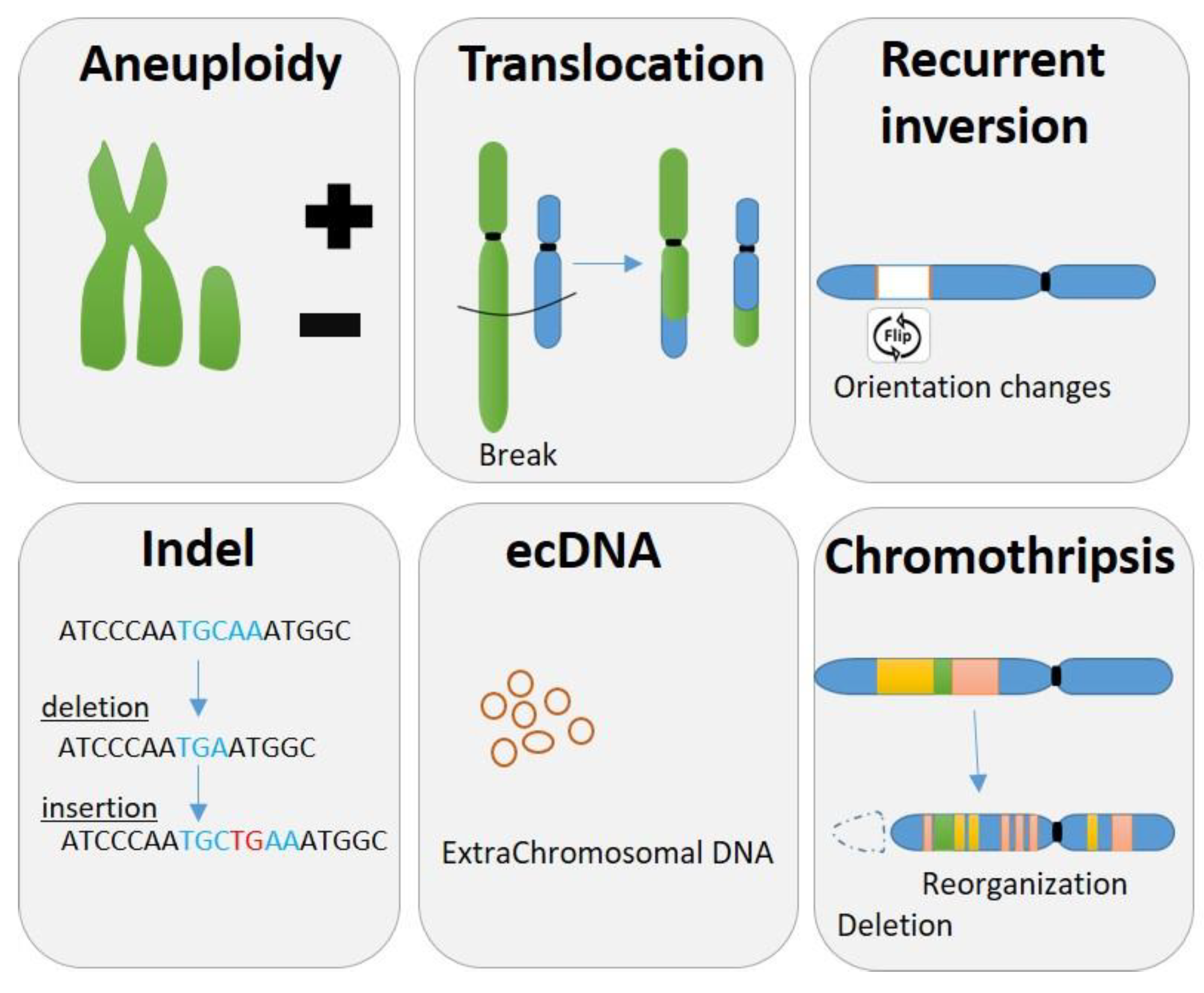 Preprints 68247 g001