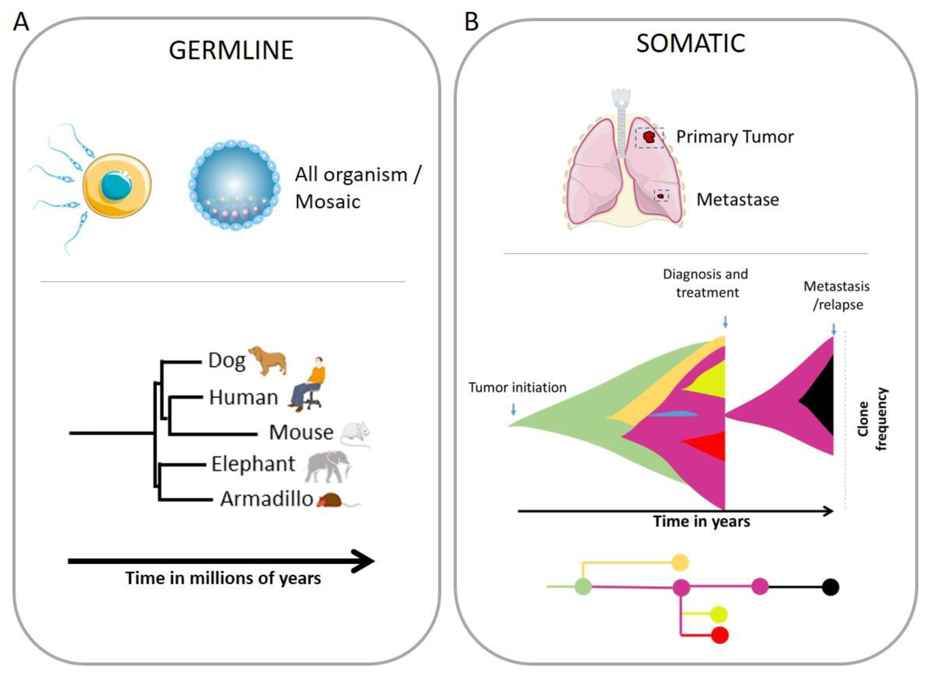 Preprints 68247 g002