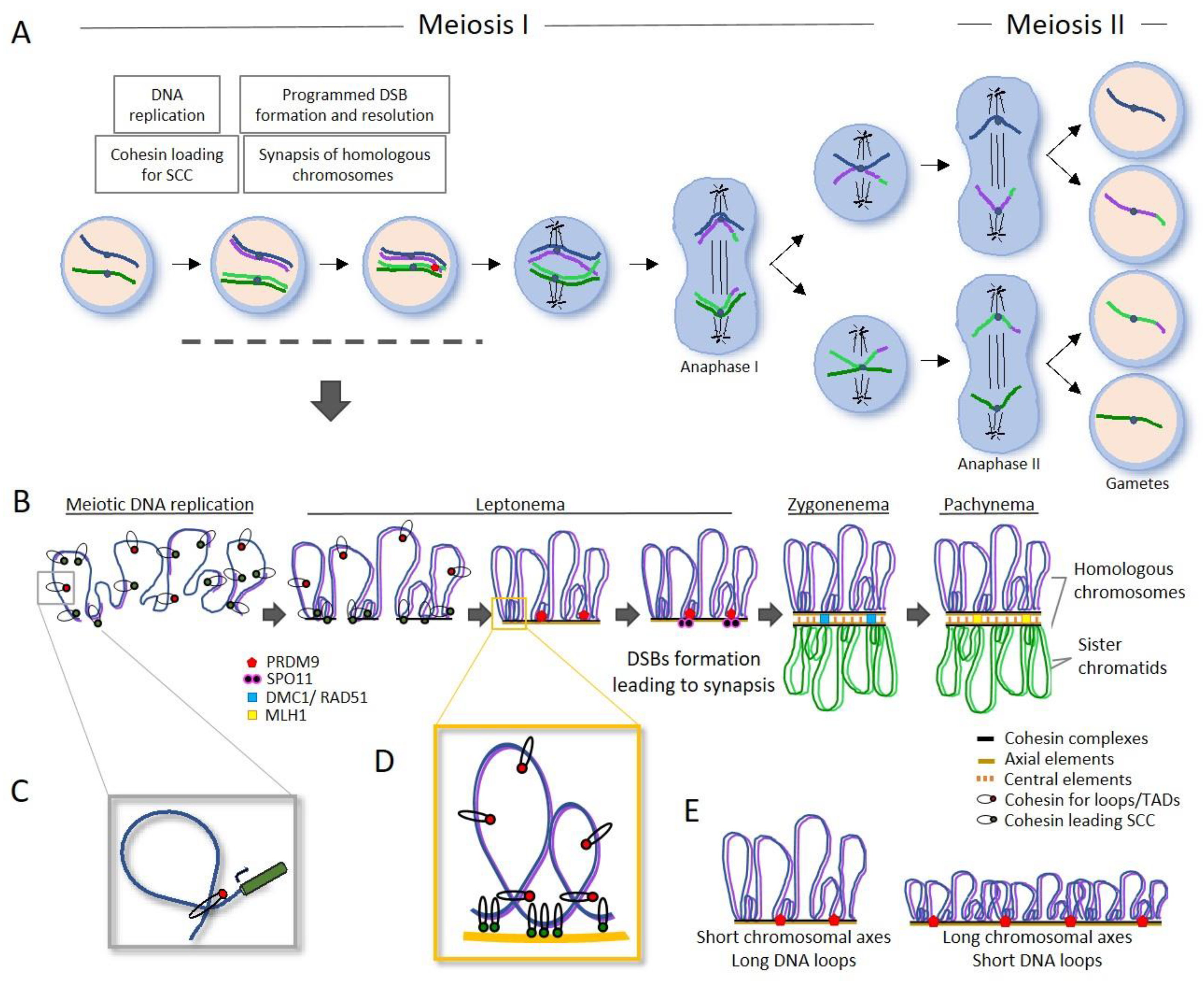 Preprints 68247 g004