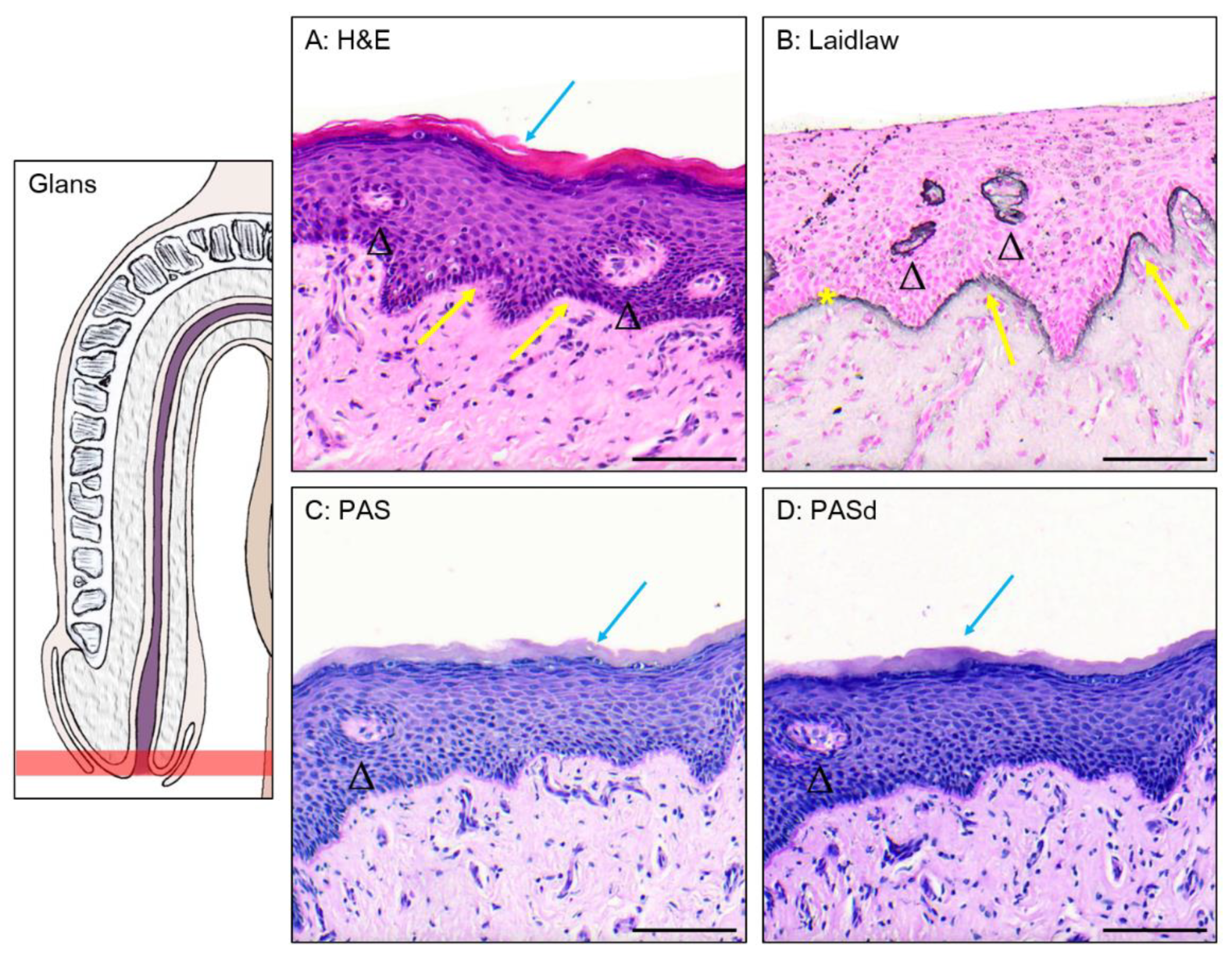 Preprints 119872 g002