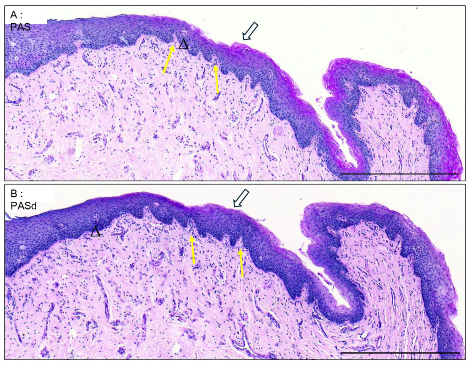 Preprints 119872 g003