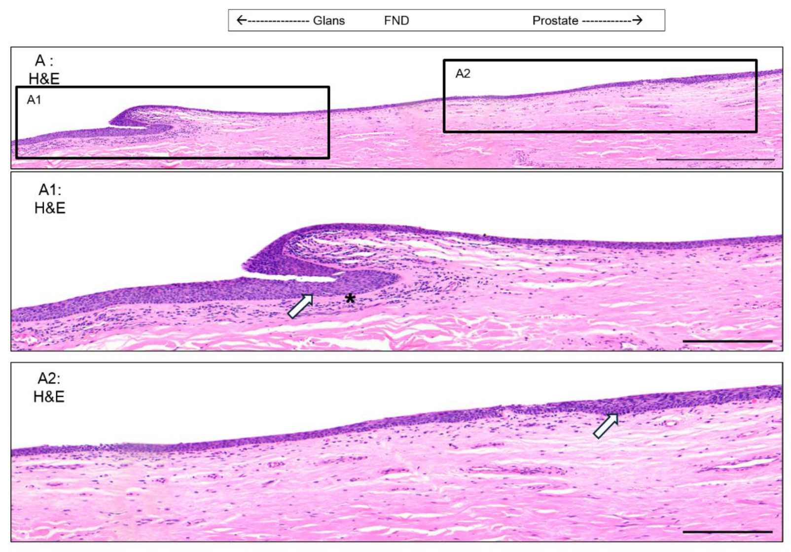 Preprints 119872 g008