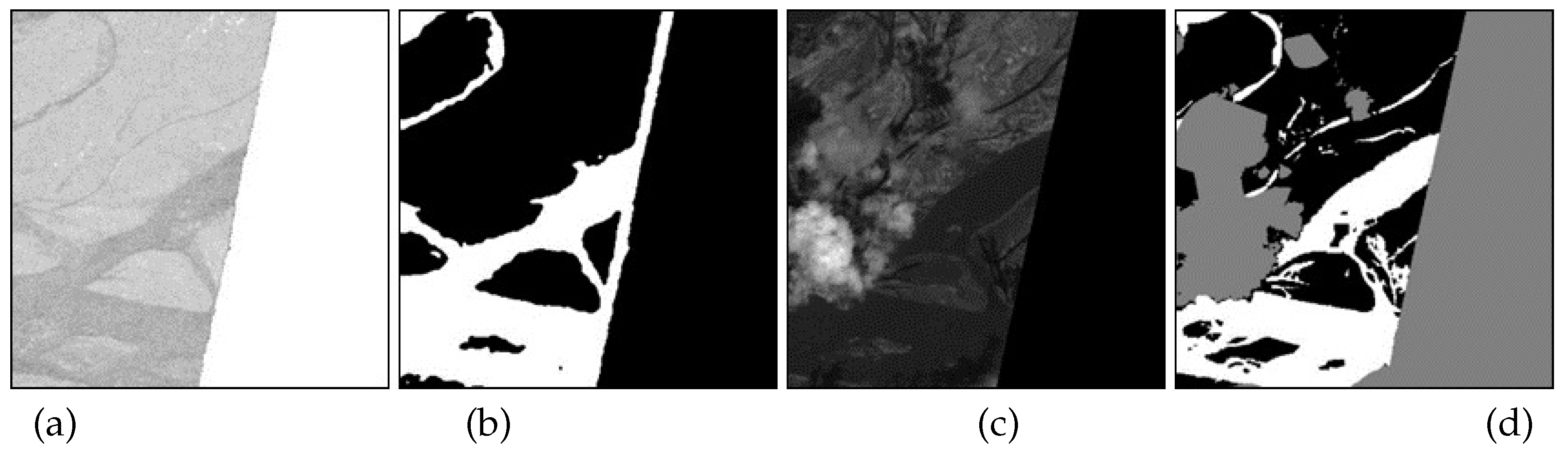 Preprints 93348 g001