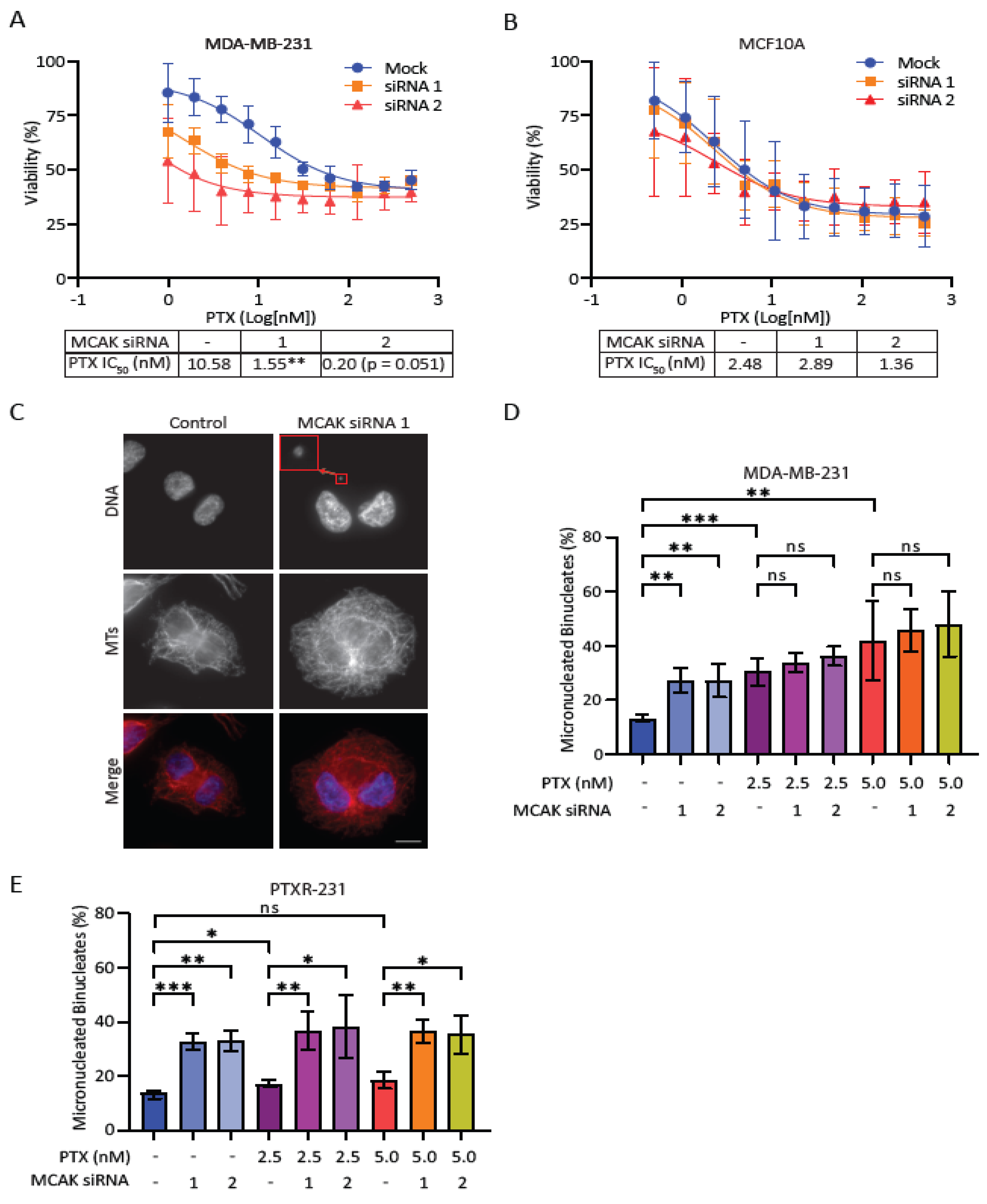 Preprints 75419 g002