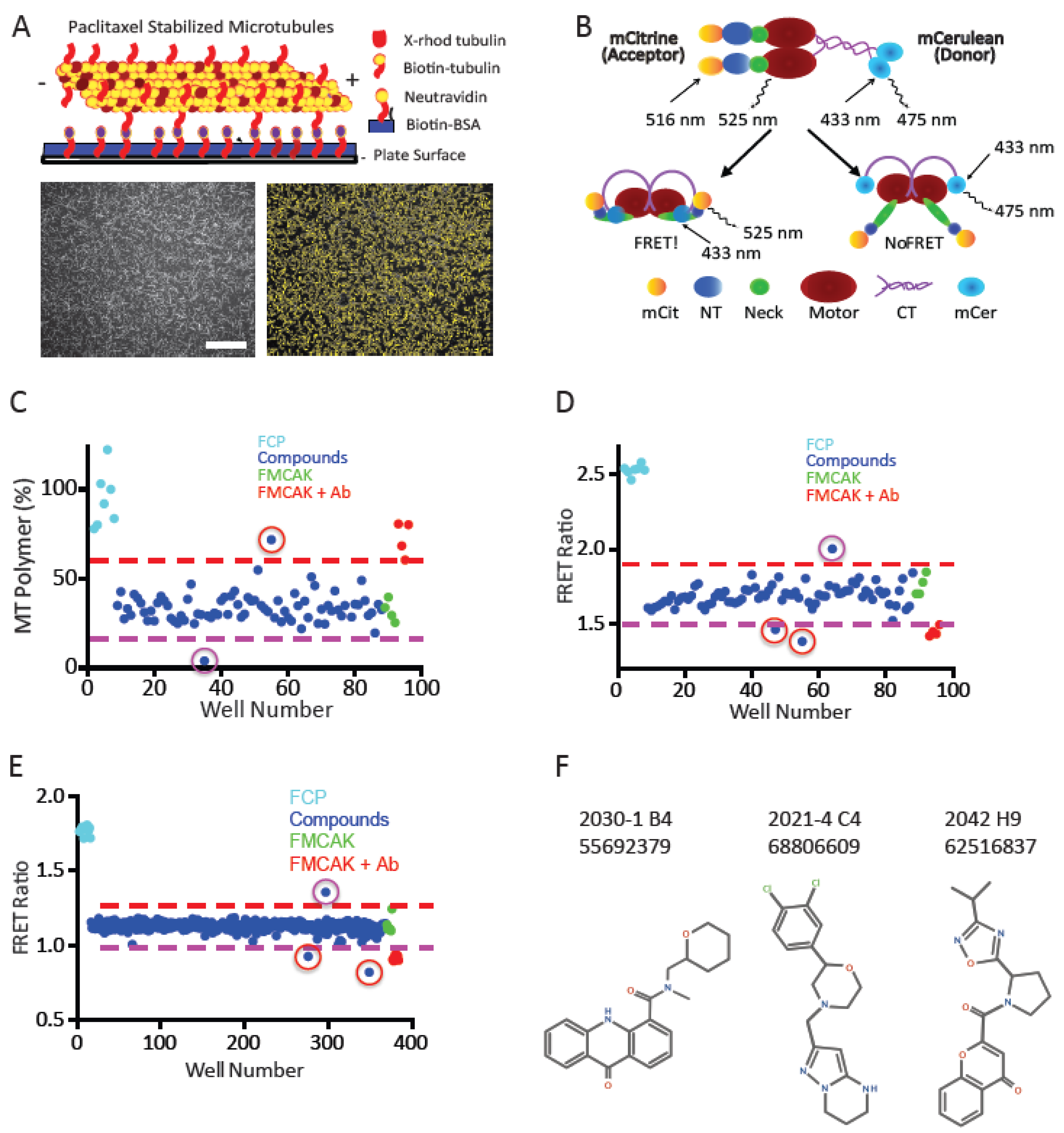 Preprints 75419 g003