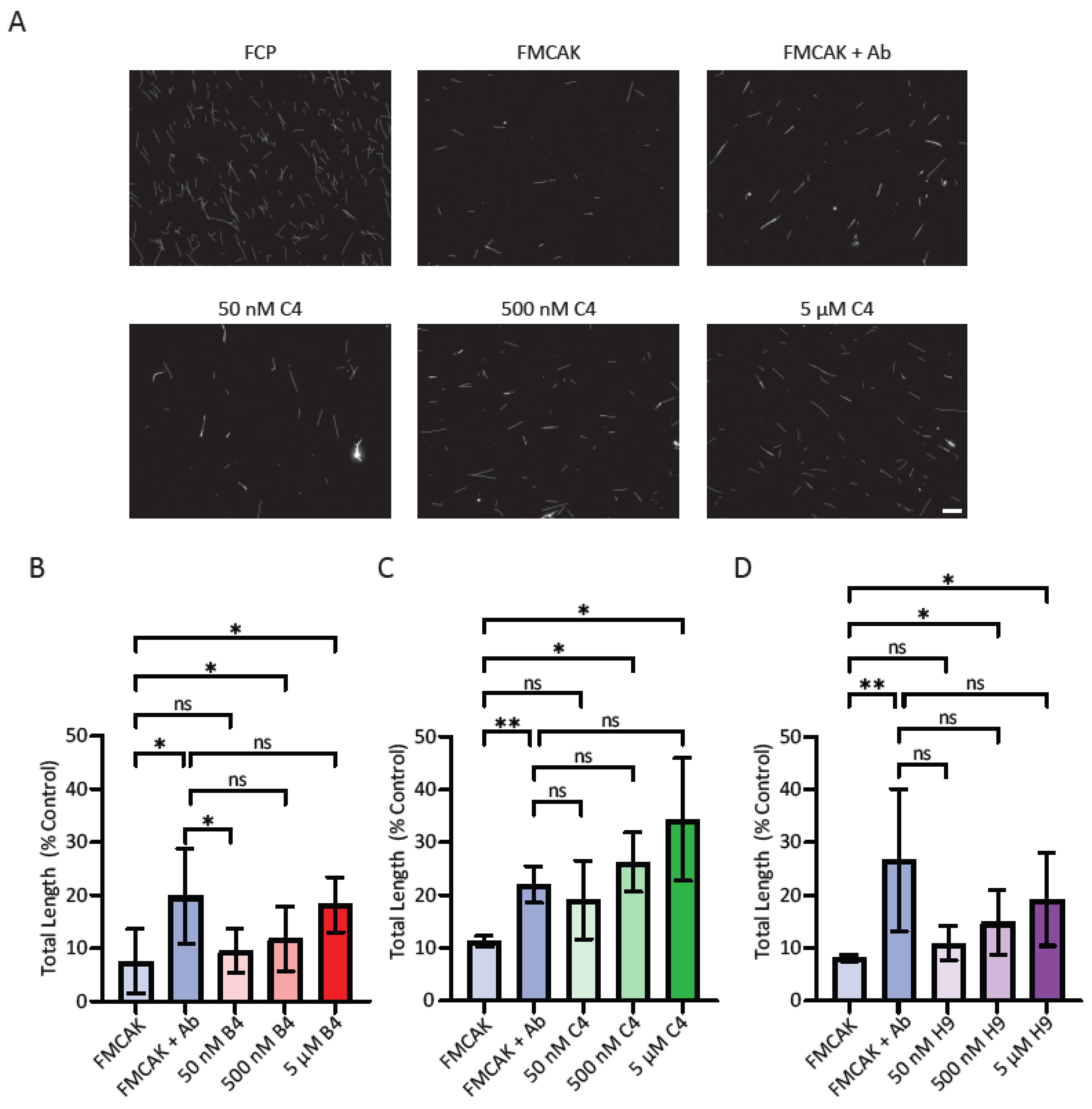 Preprints 75419 g004