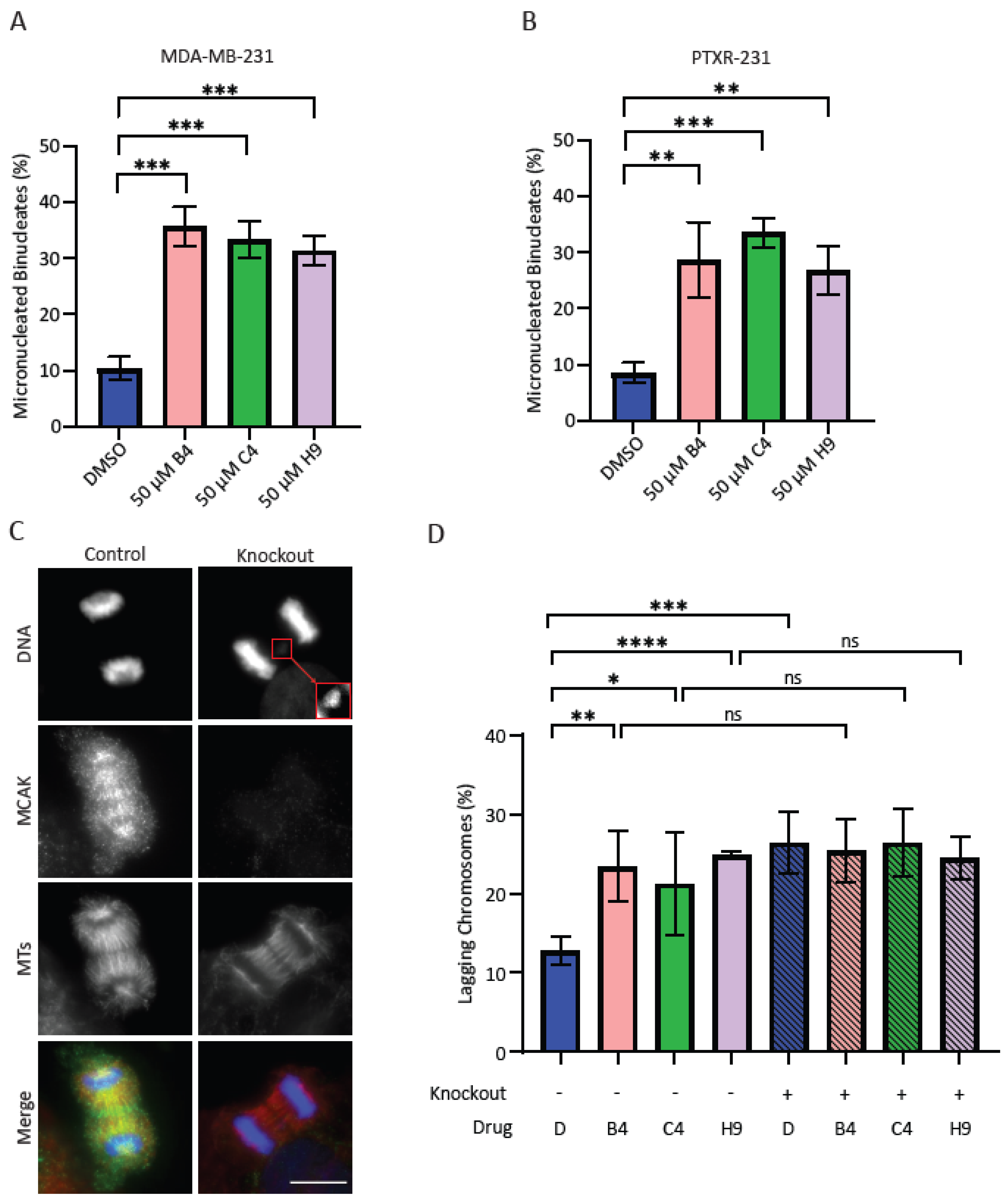 Preprints 75419 g005