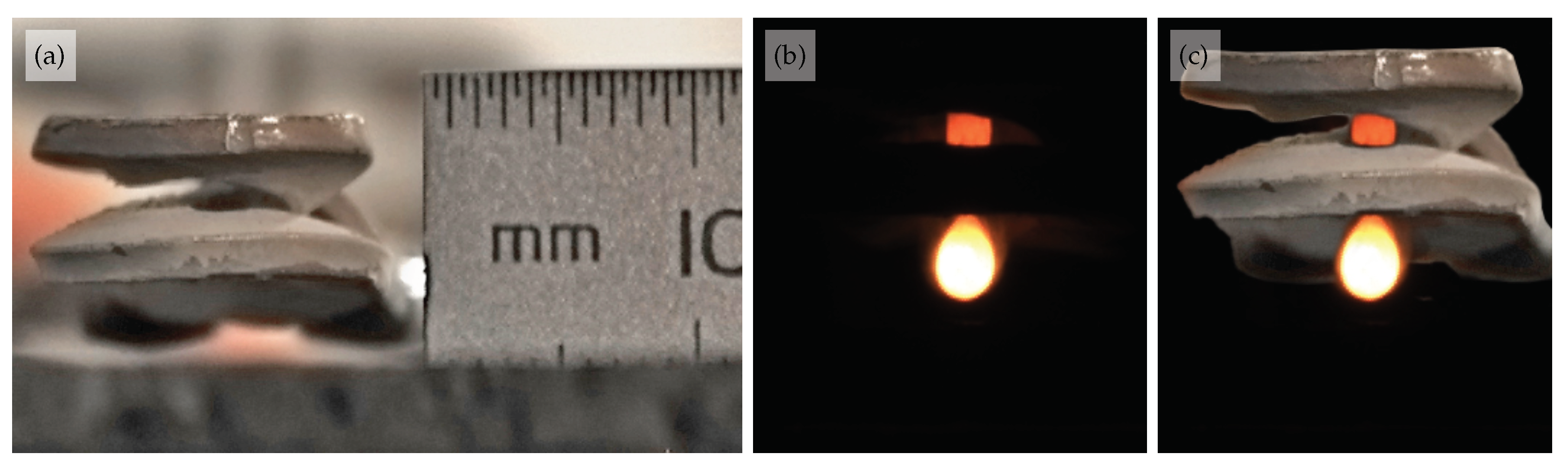 Preprints 100479 g004