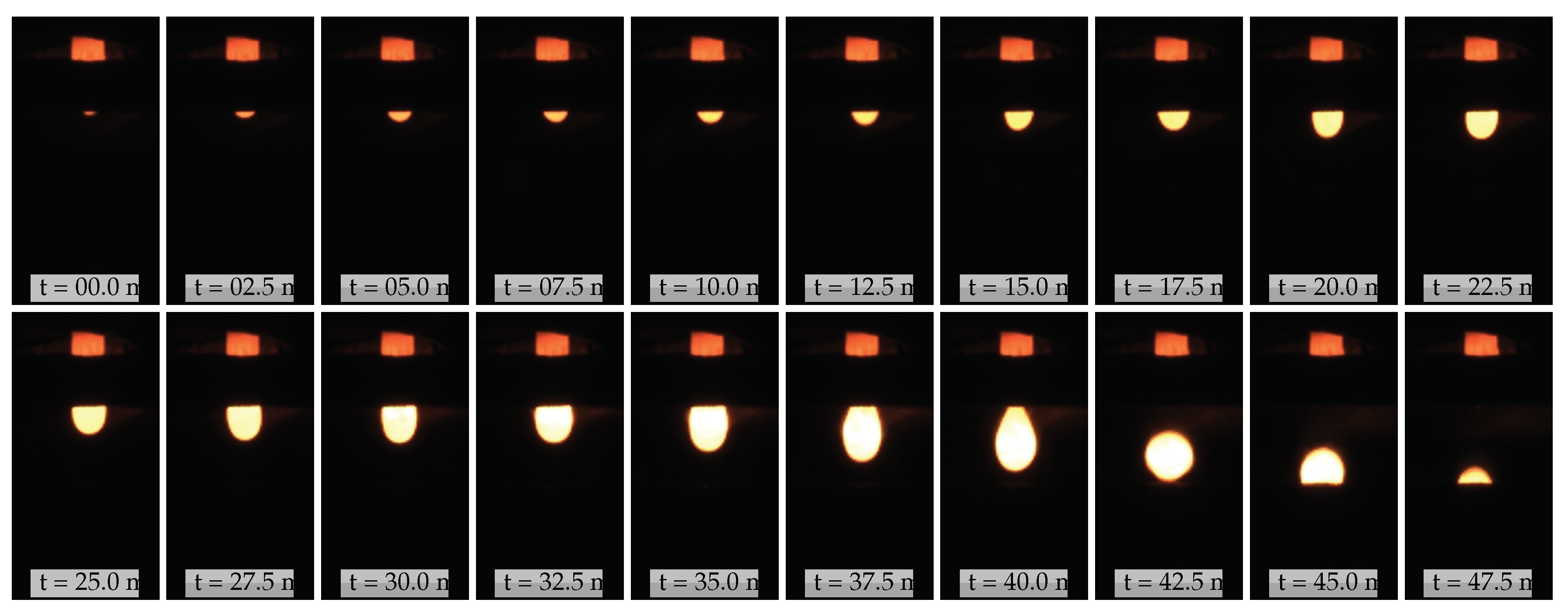 Preprints 100479 g005