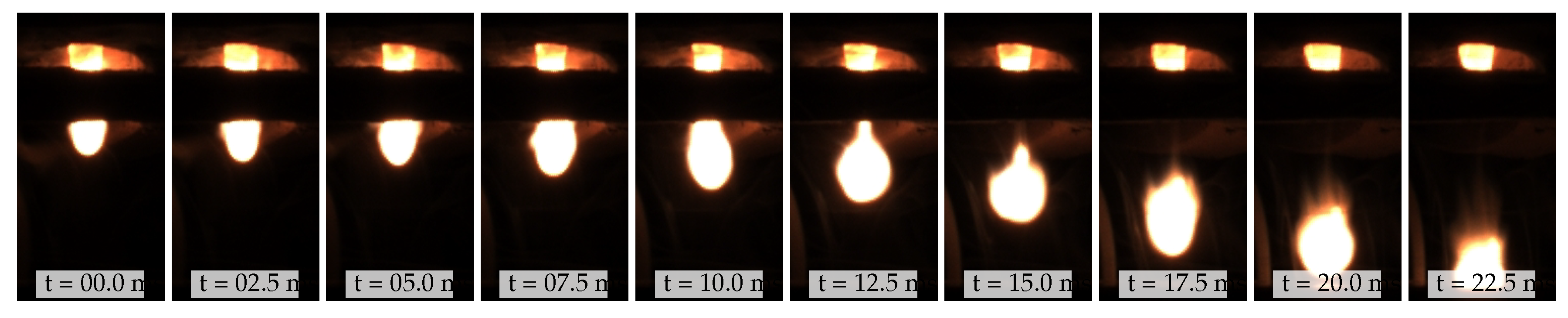 Preprints 100479 g006