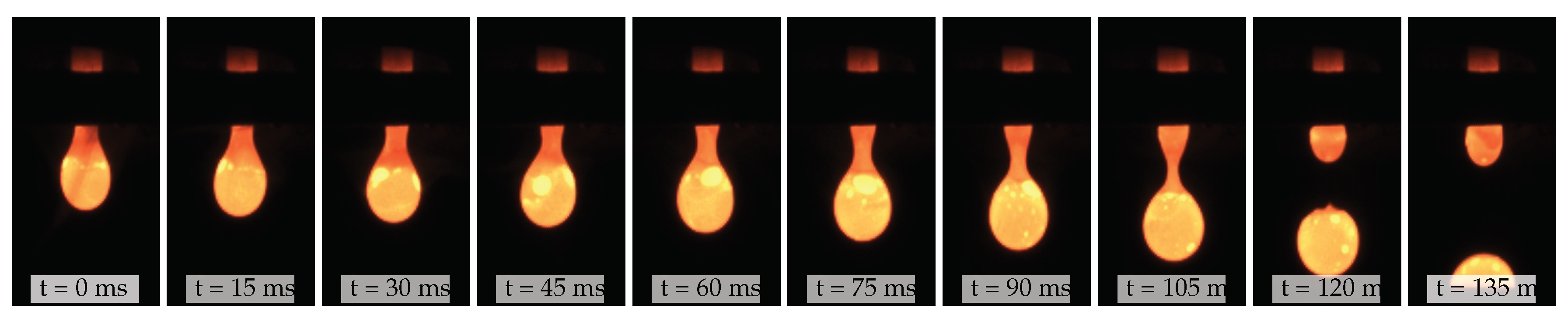 Preprints 100479 g008