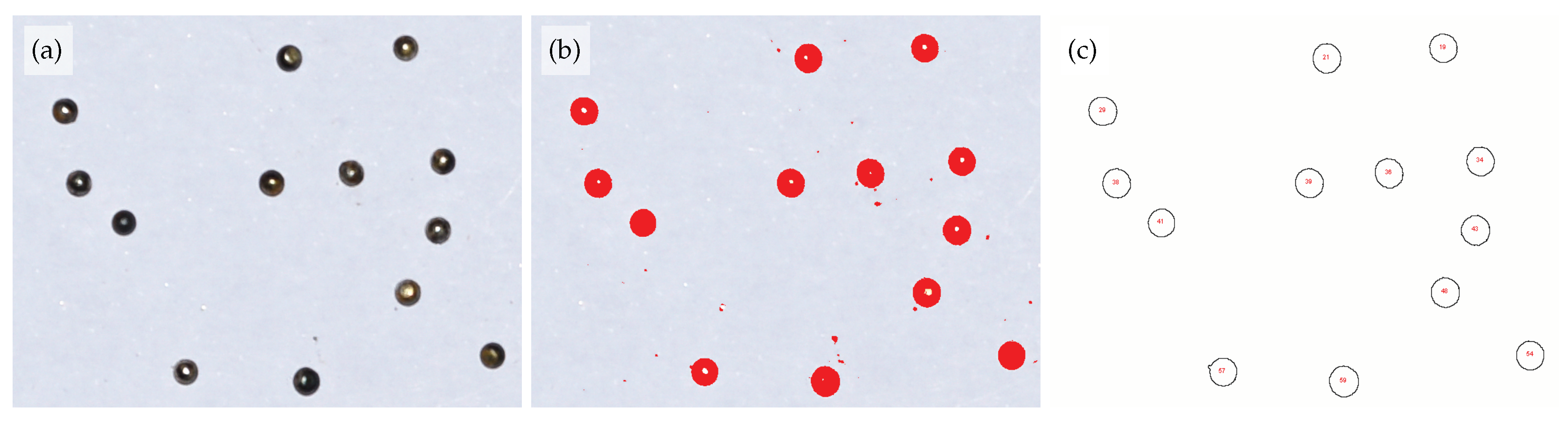 Preprints 100479 g009