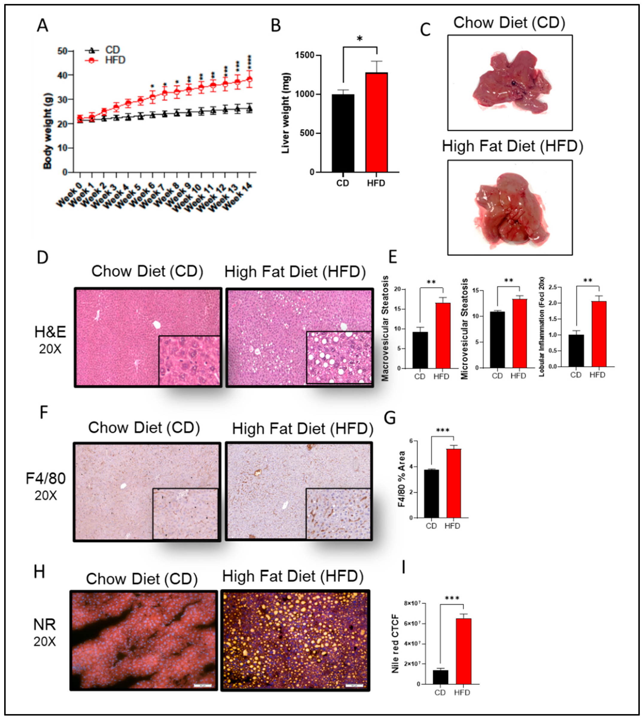 Preprints 86999 g001