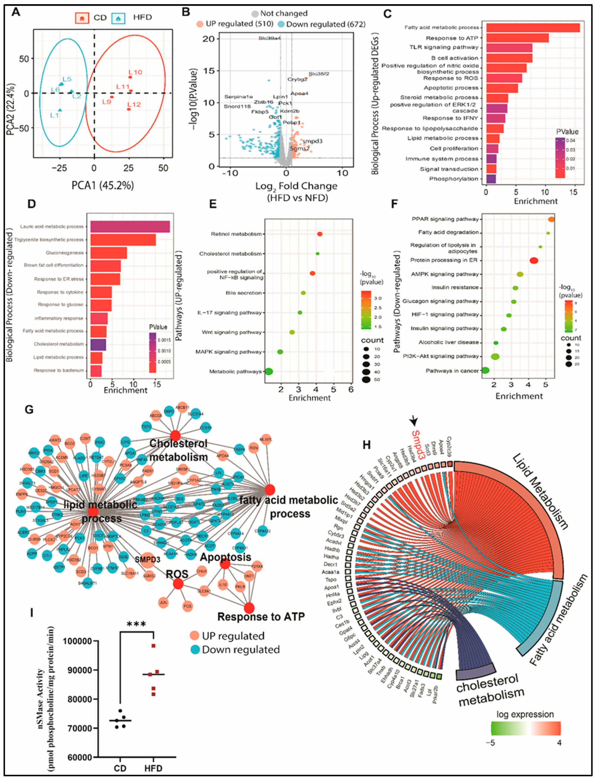 Preprints 86999 g002