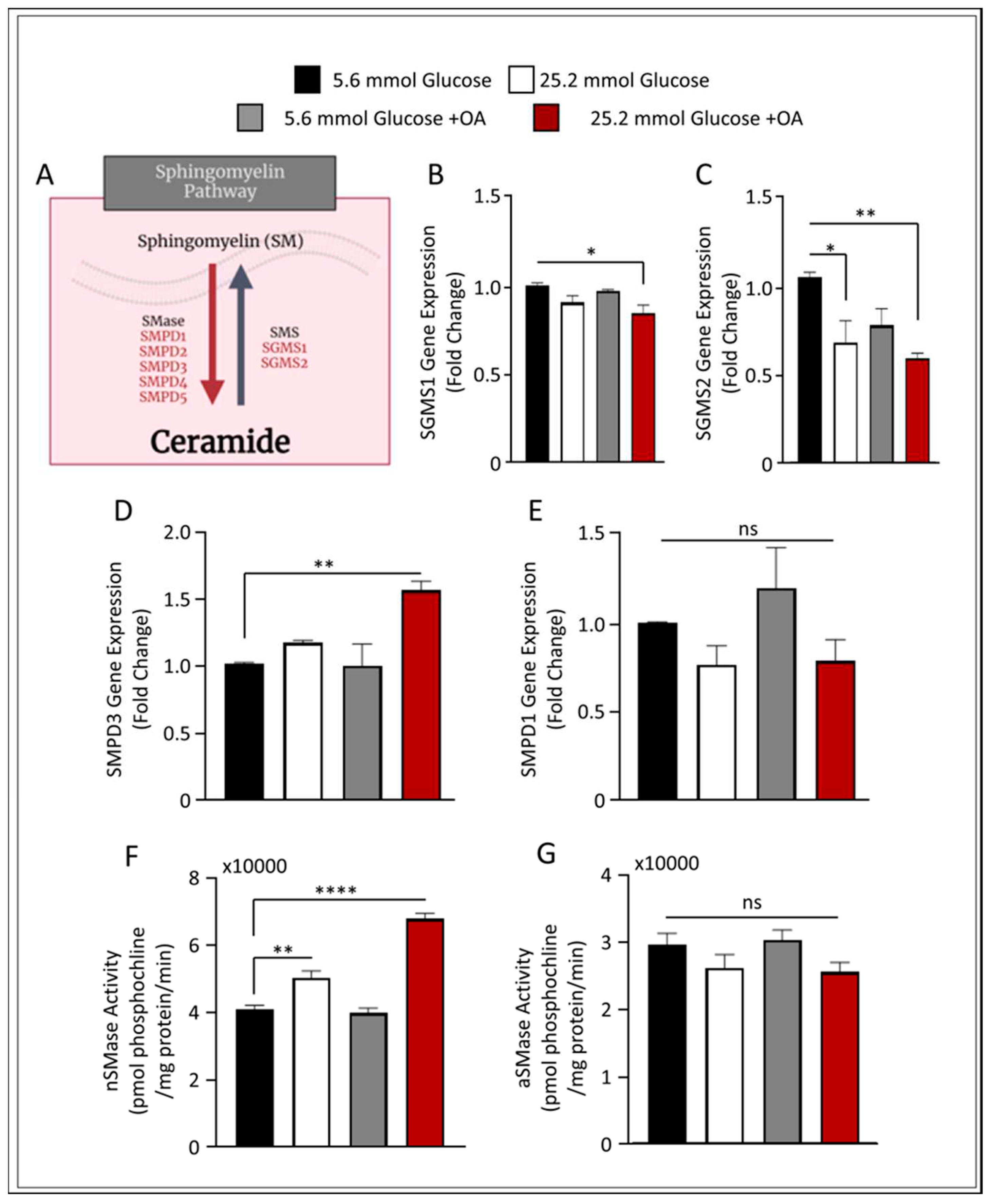 Preprints 86999 g003