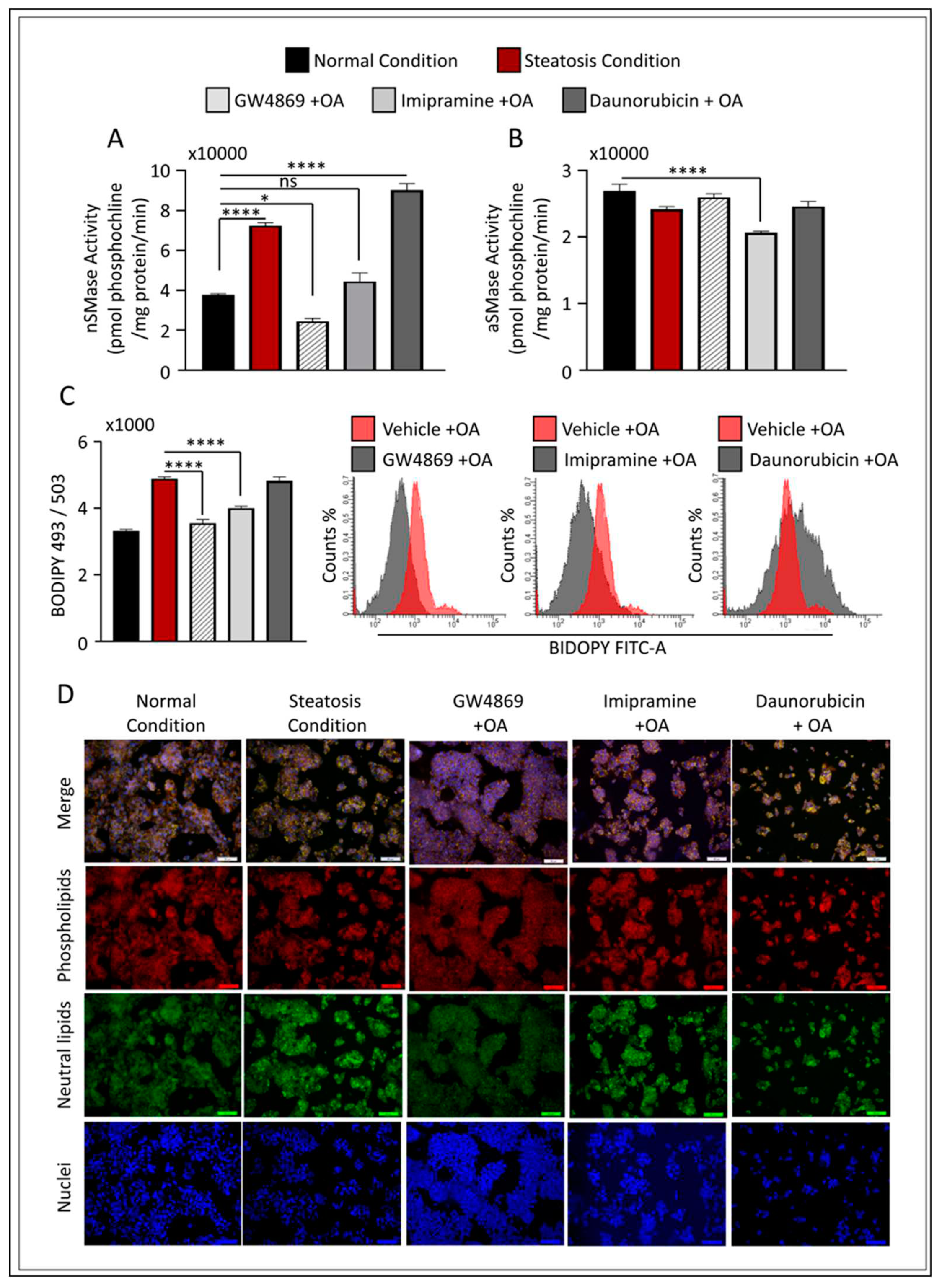 Preprints 86999 g004