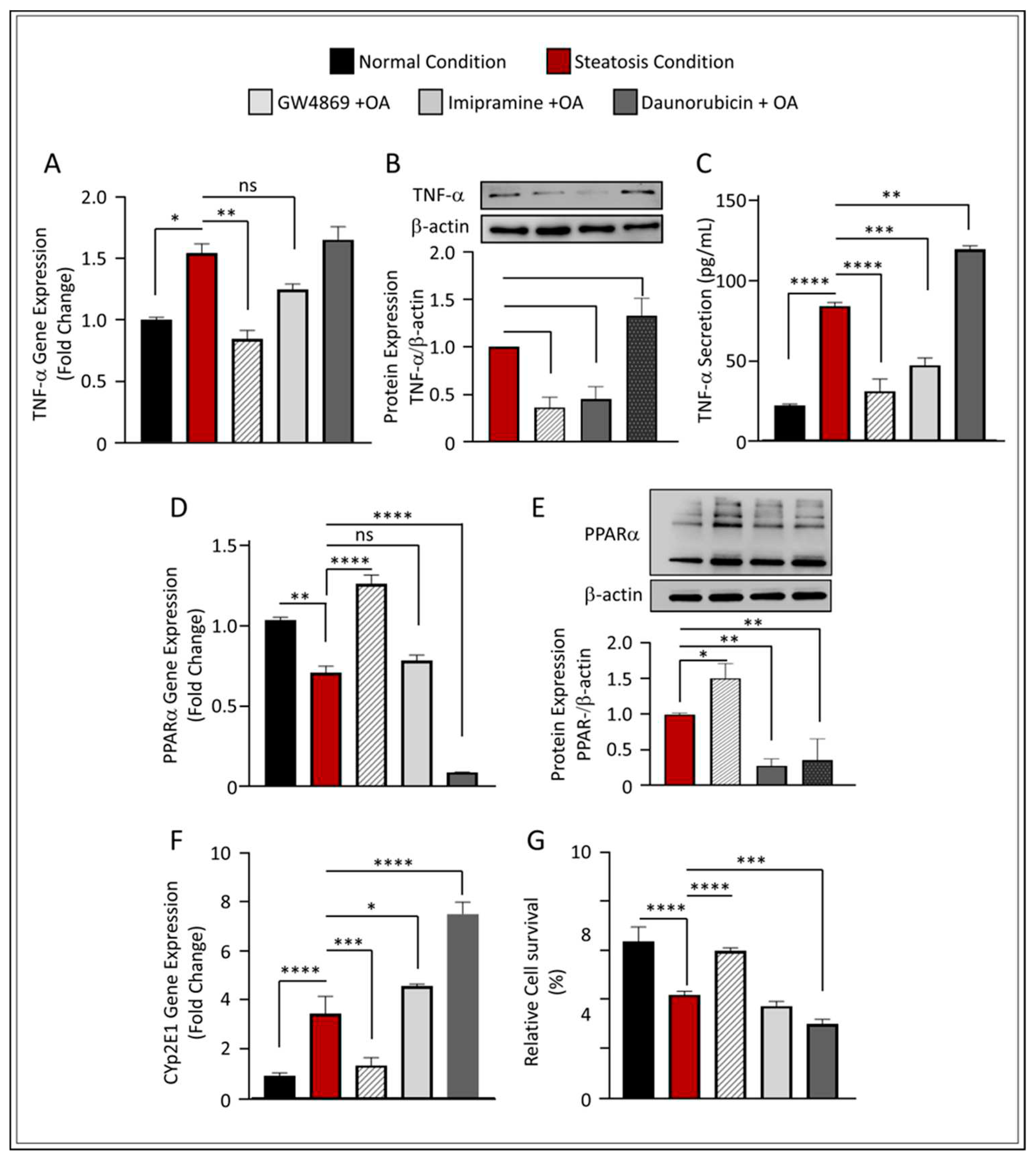 Preprints 86999 g005