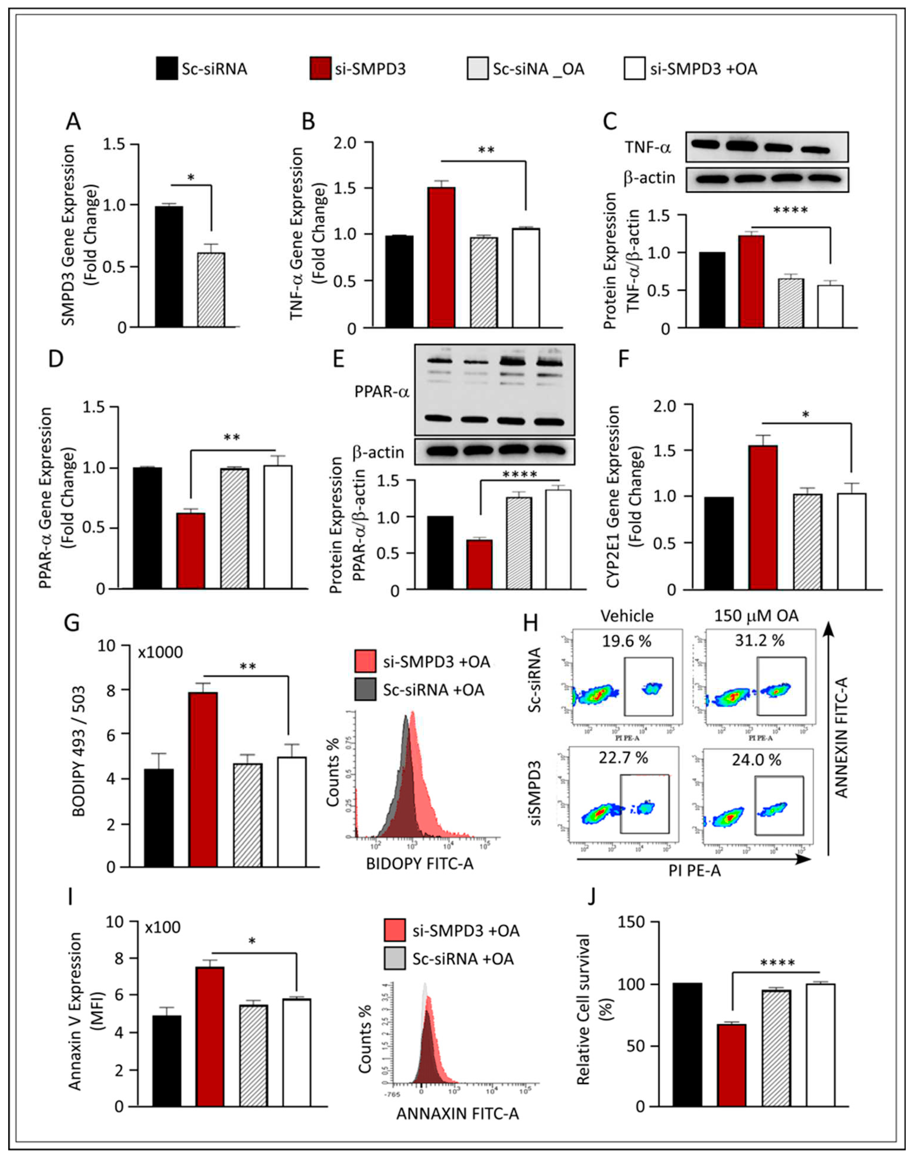 Preprints 86999 g006