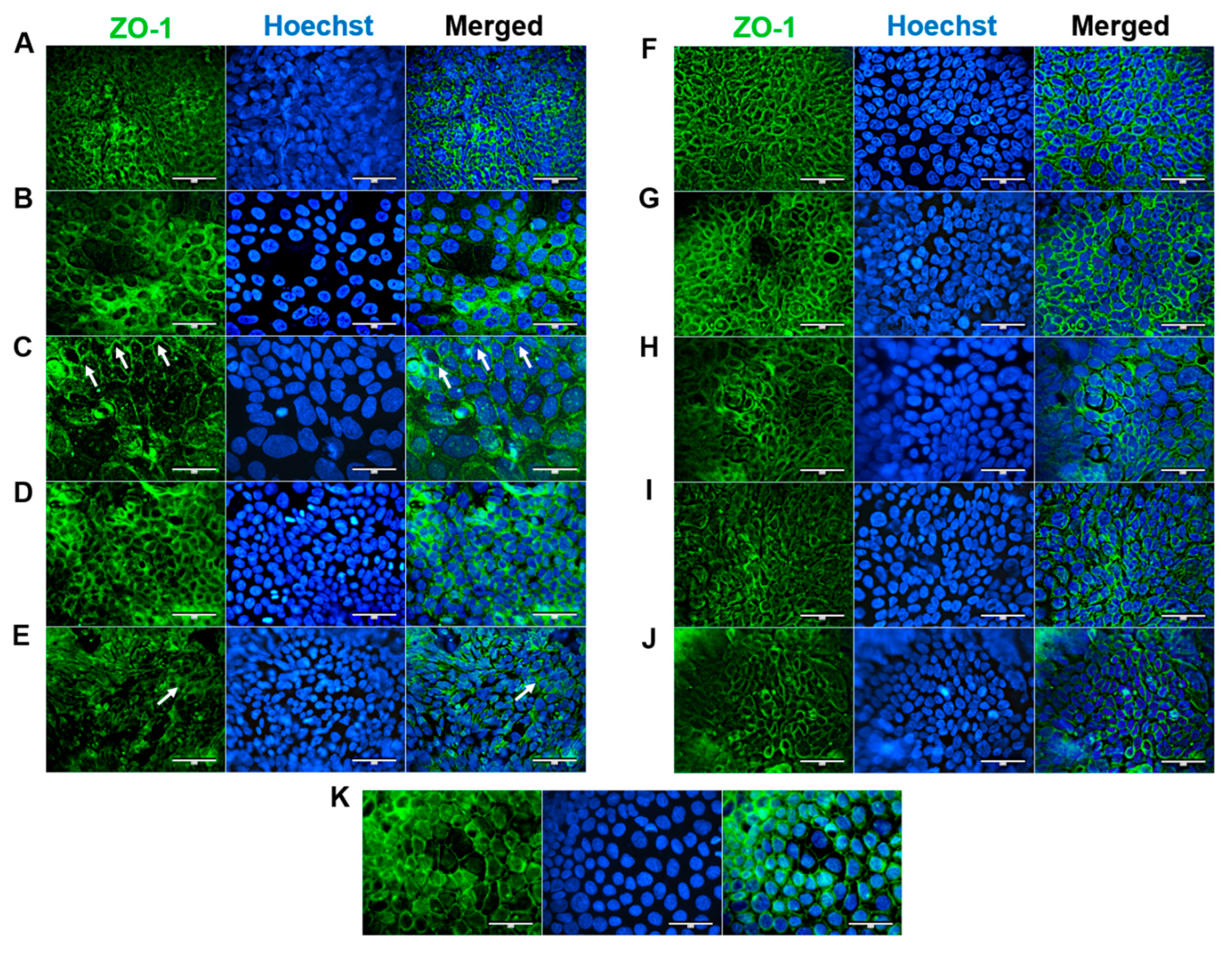 Preprints 83594 g001